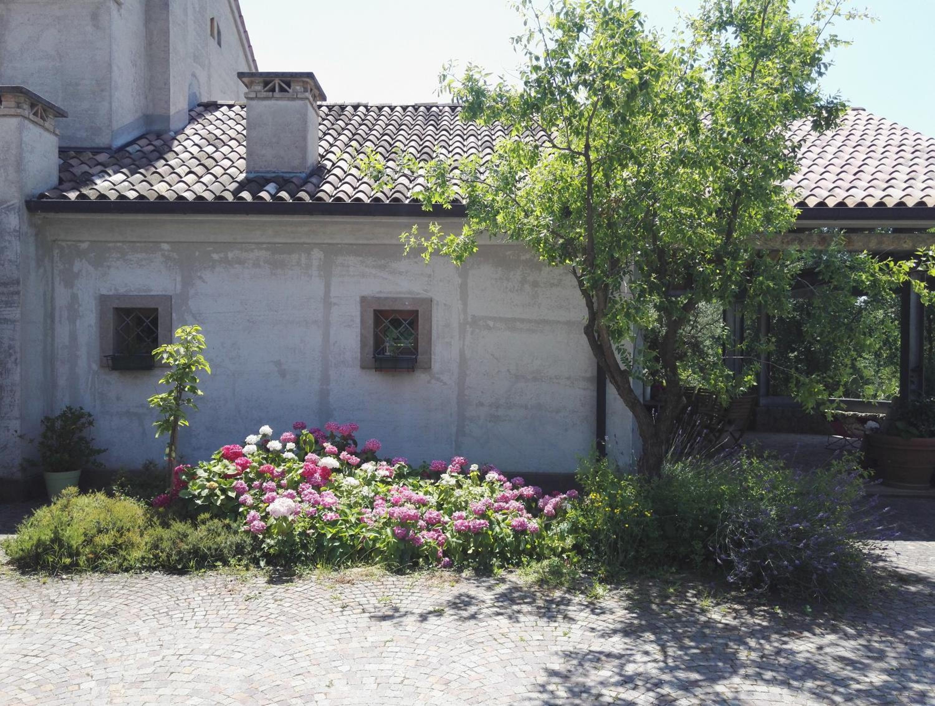 Photo 43