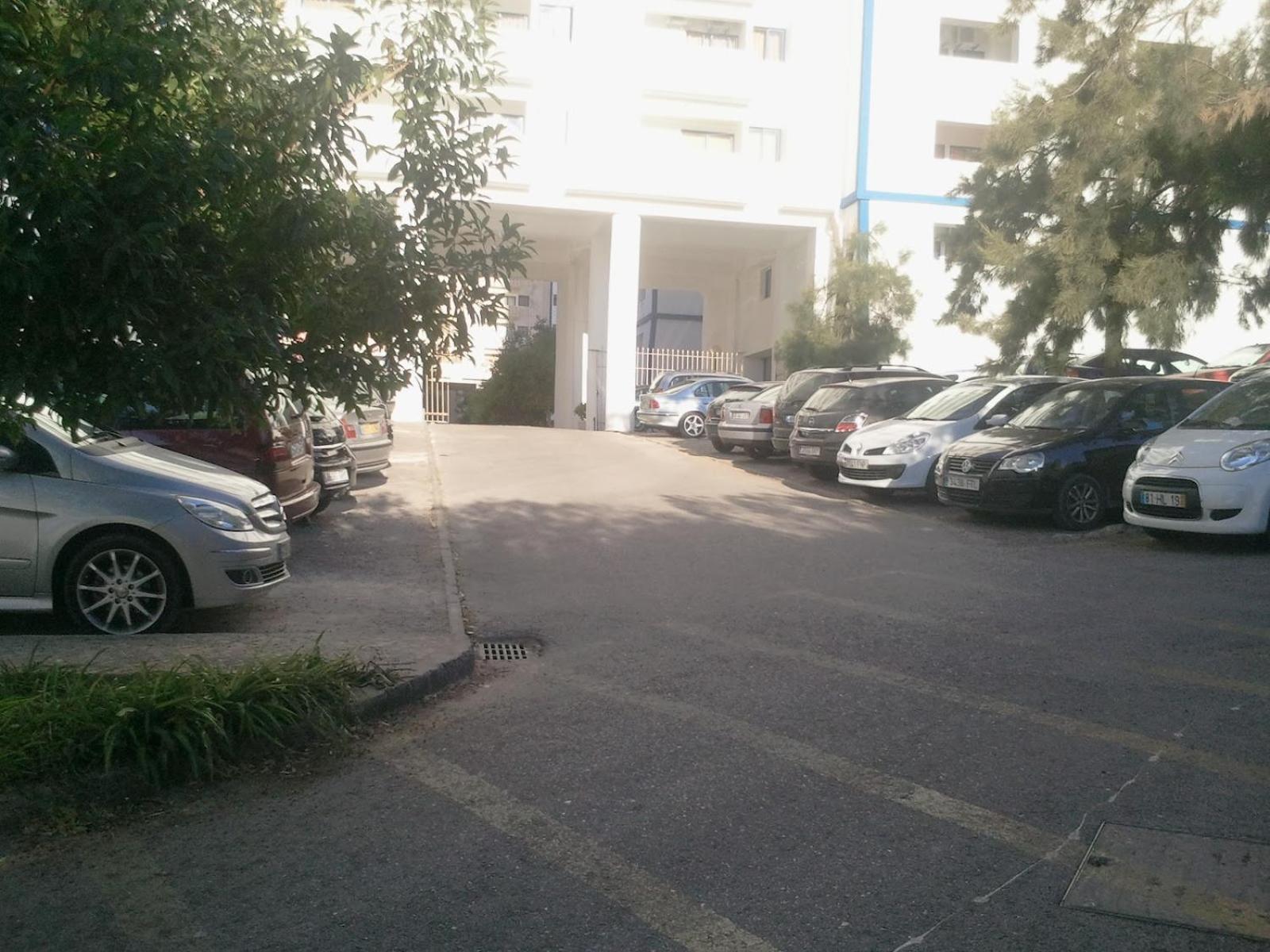 Photo 43