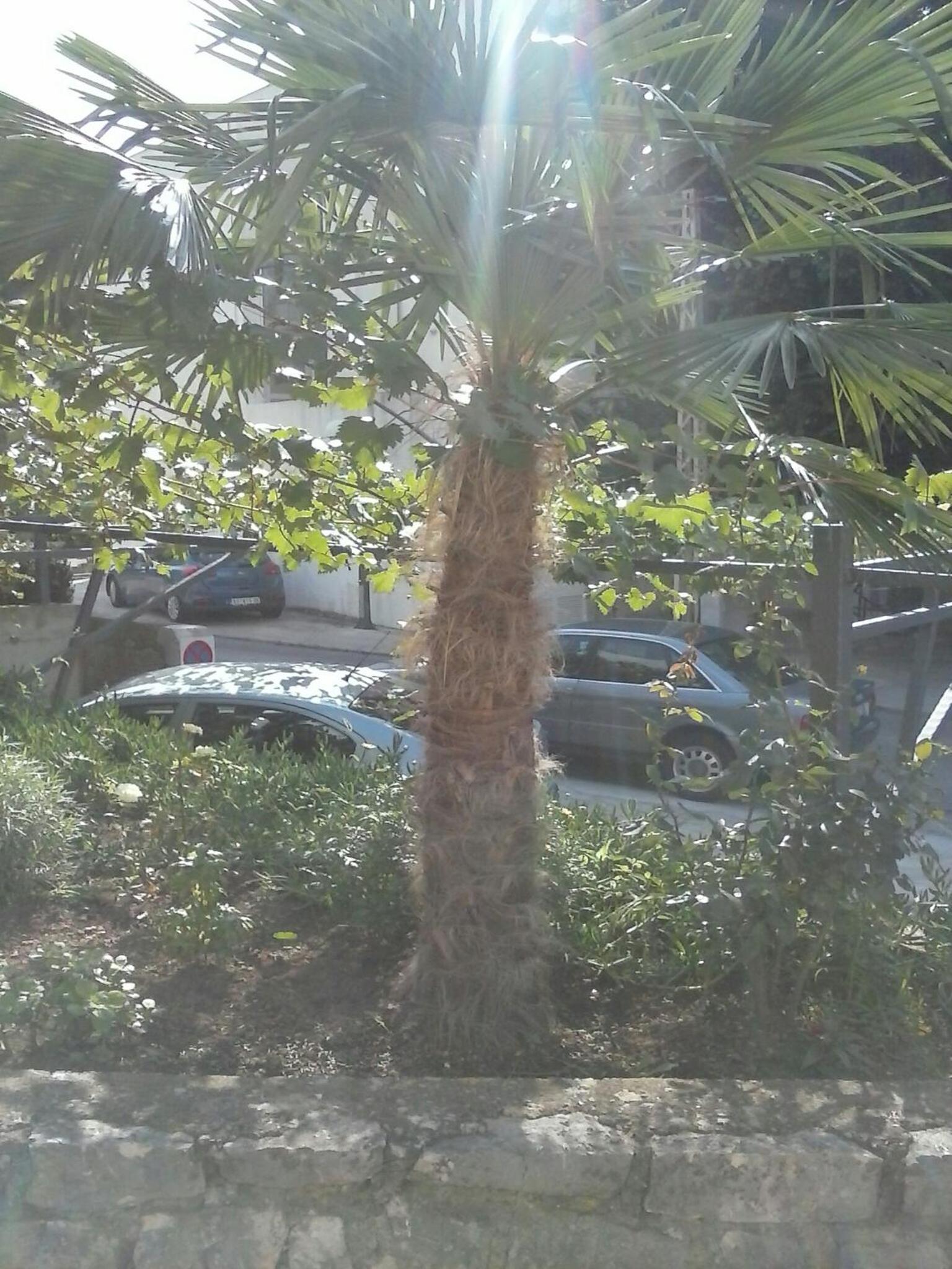 Apartmani Marić view 5