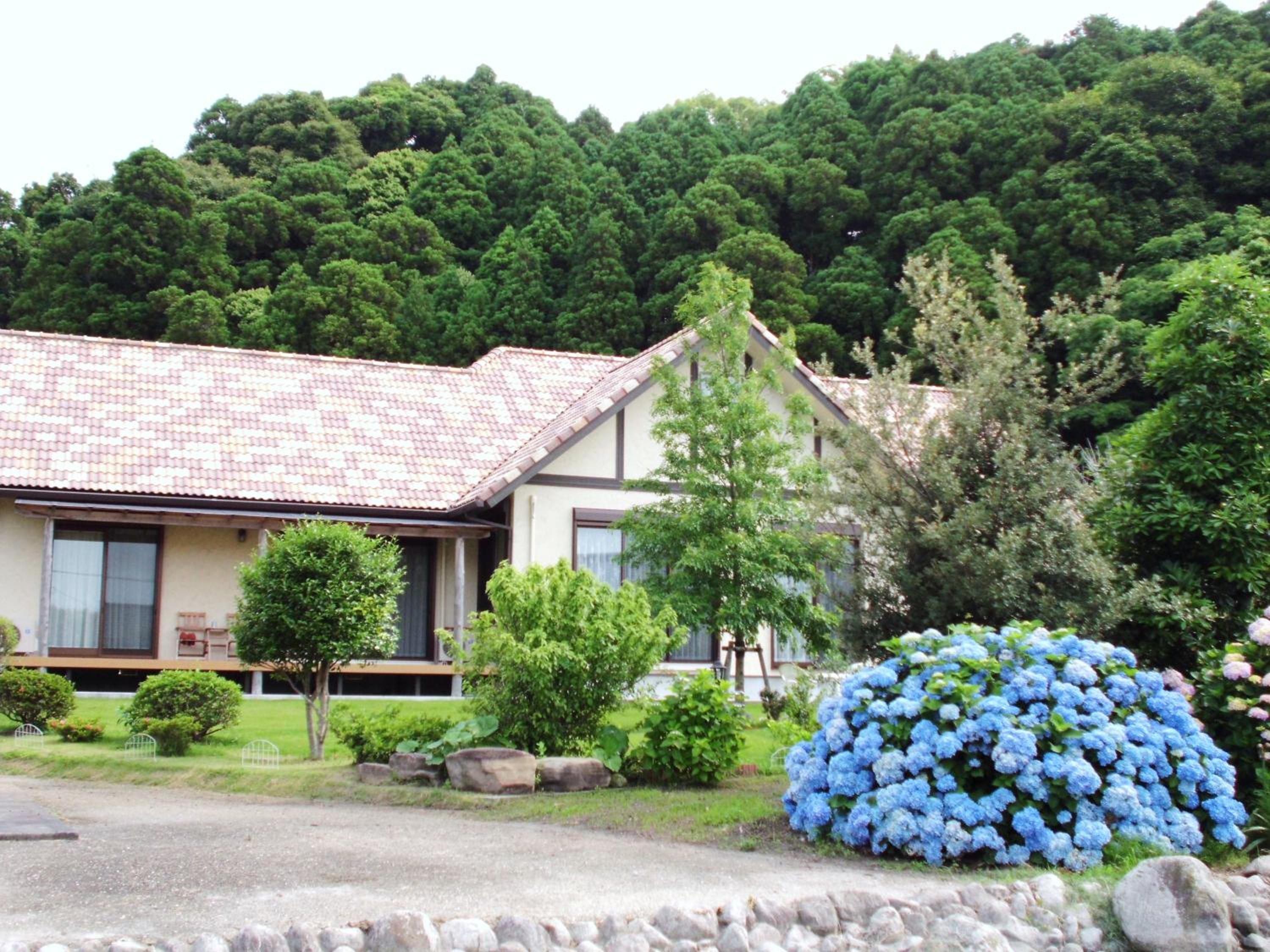 Photo 17
