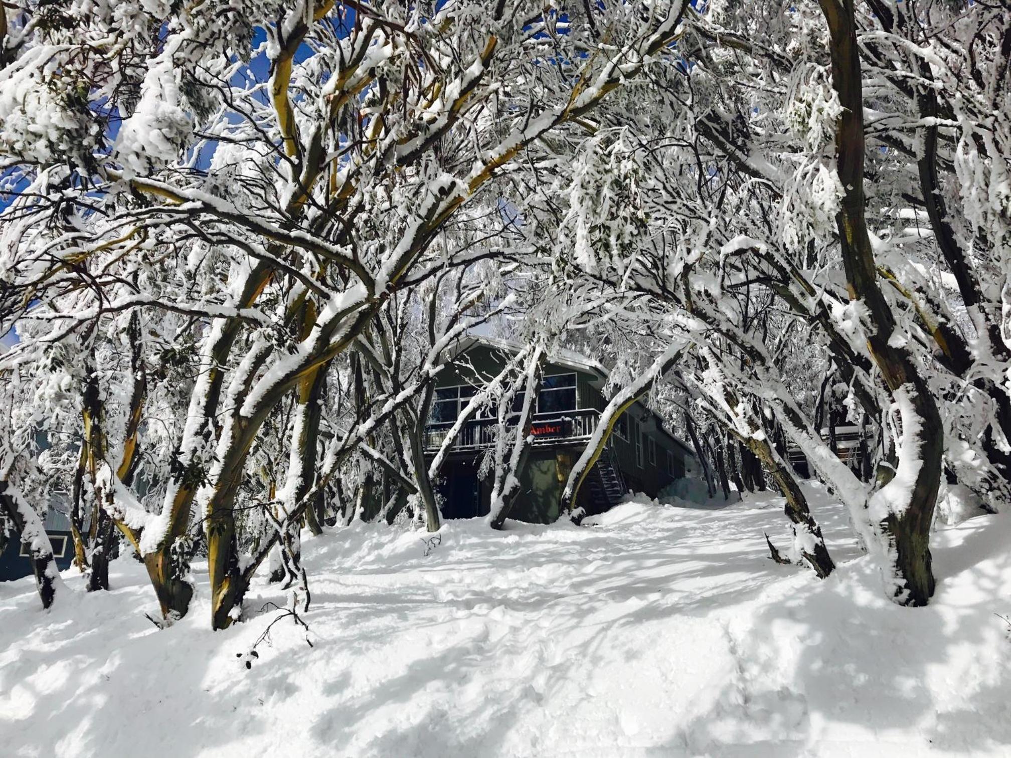 Amber Lodge Mt Buller