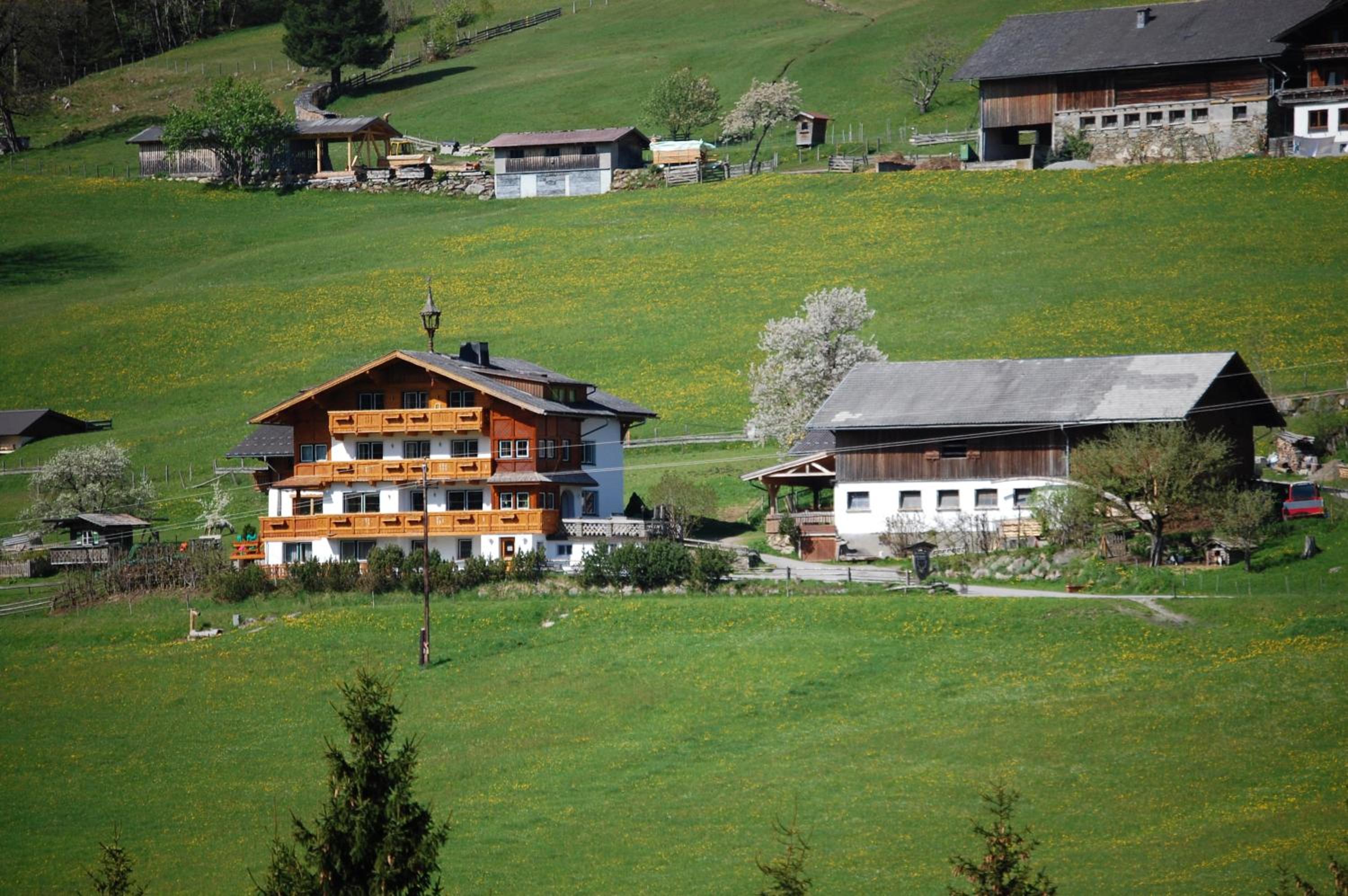 Hocheggerhof - Urlaub am Bauernhof