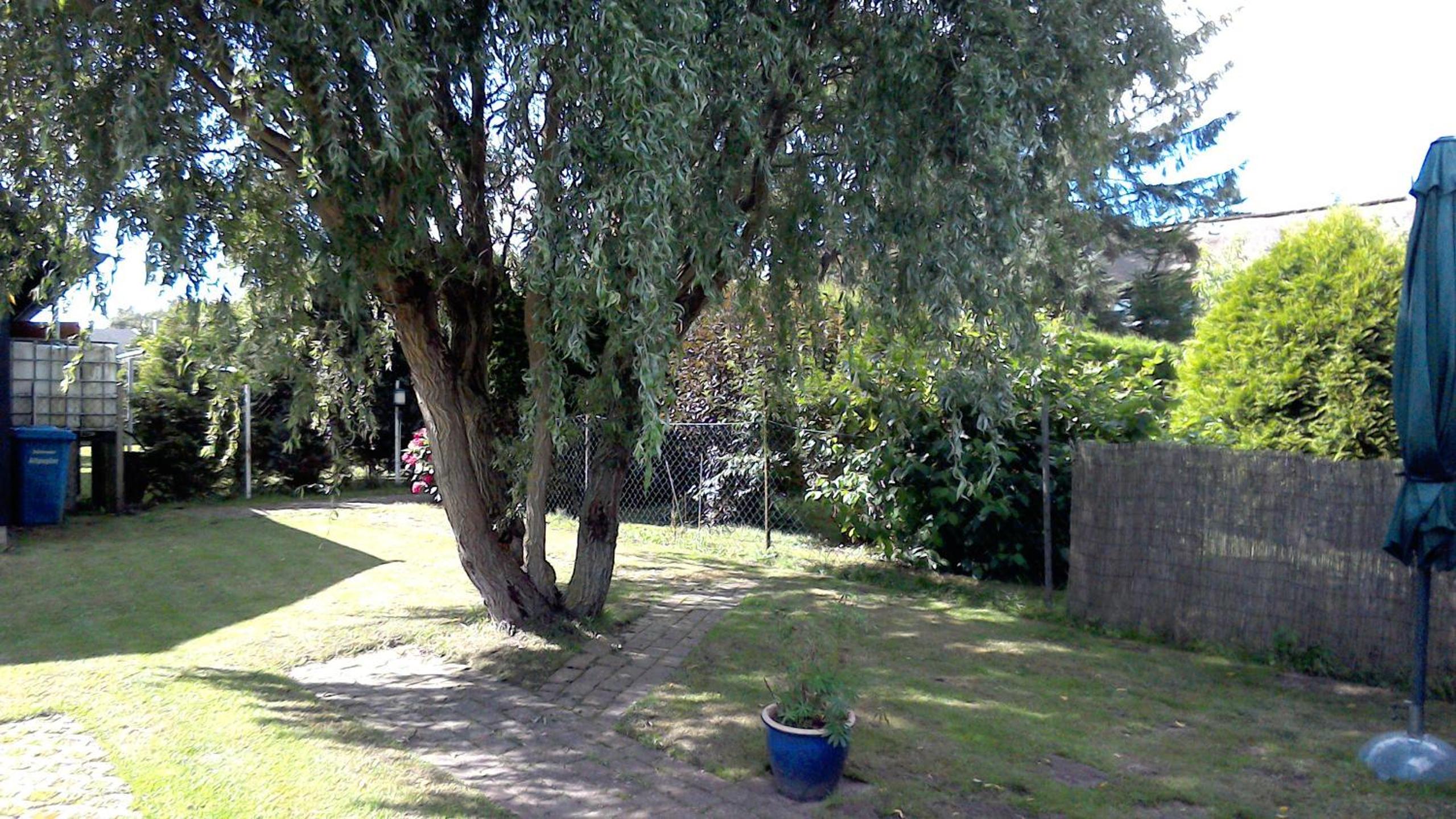 Photo 29