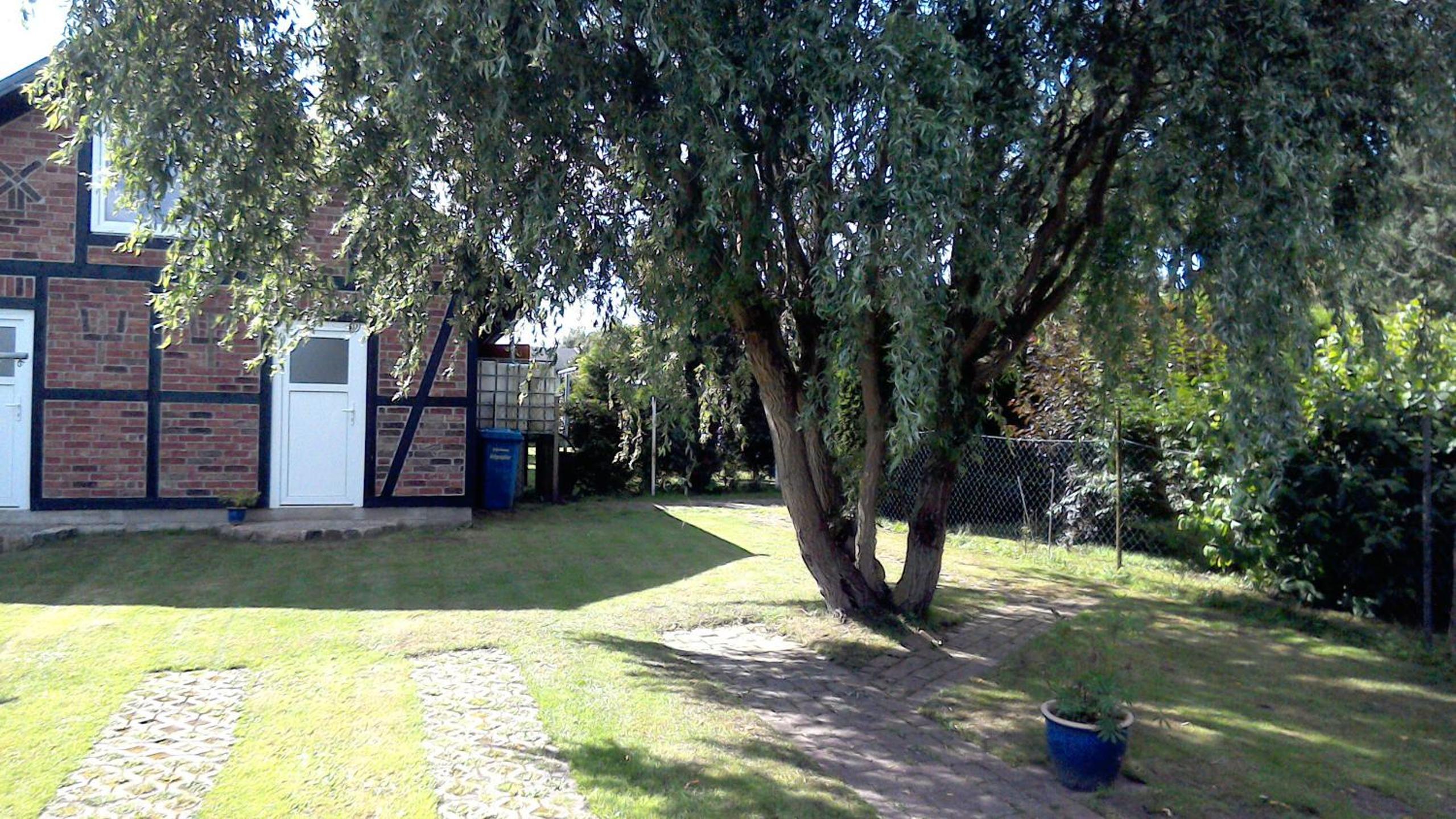 Photo 30