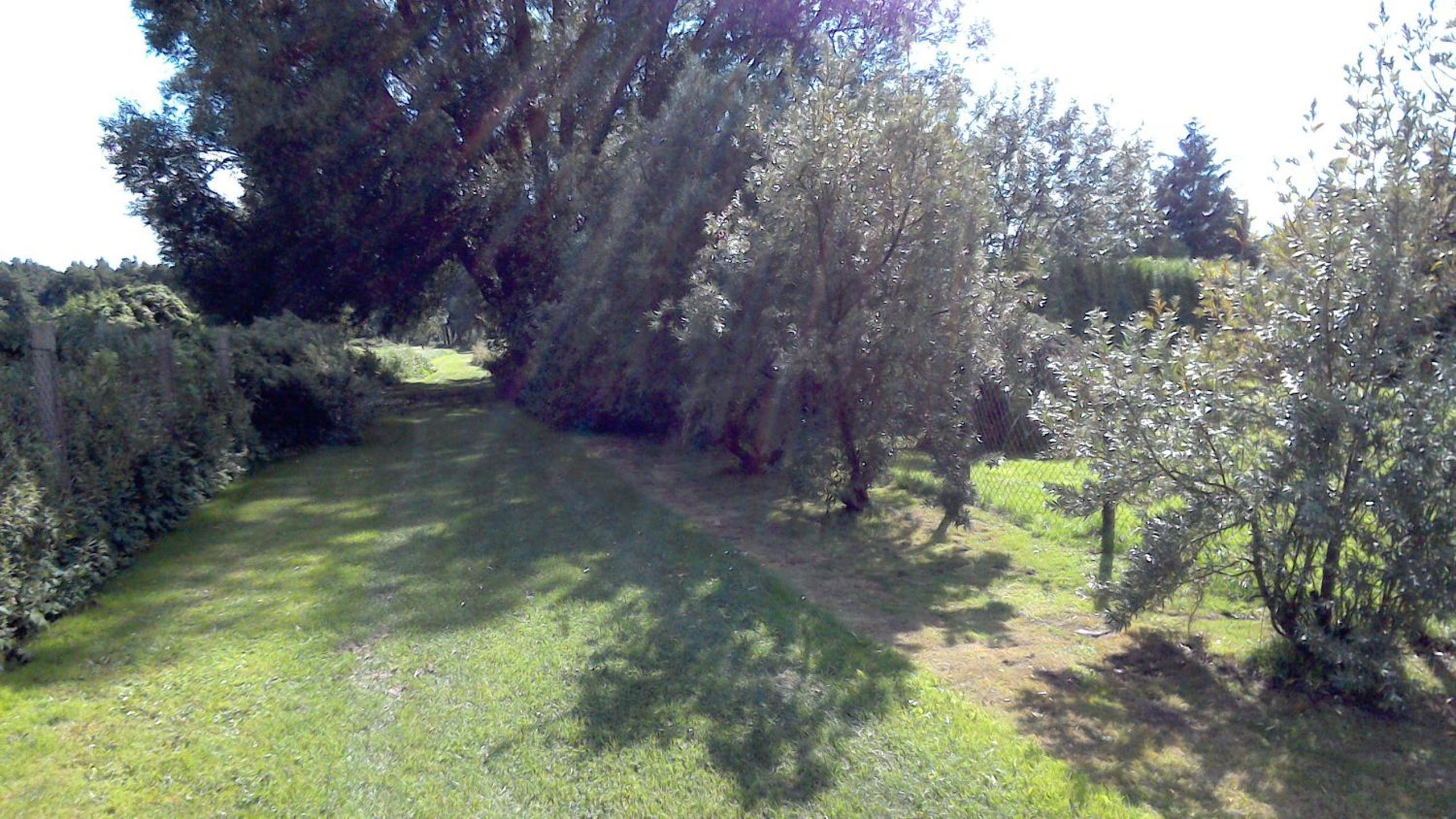 Photo 32