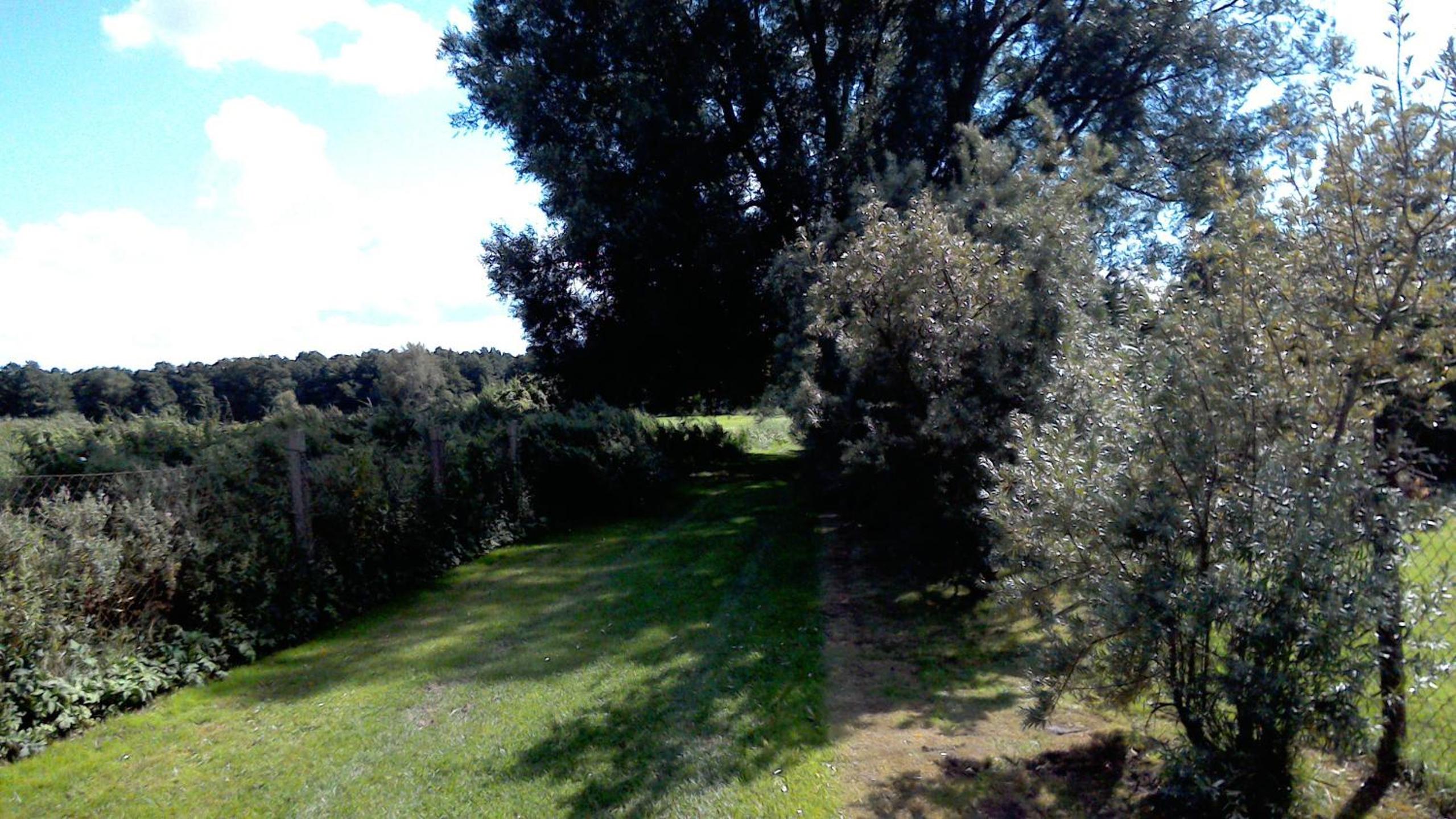 Photo 33