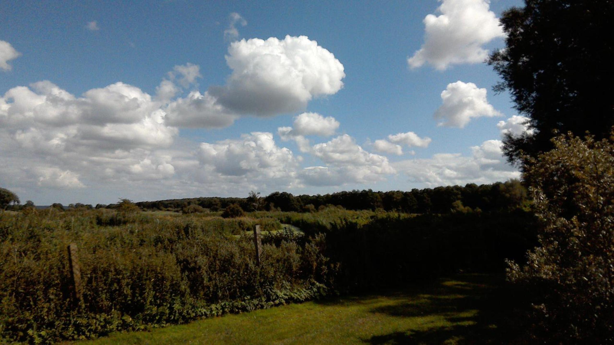 Photo 31