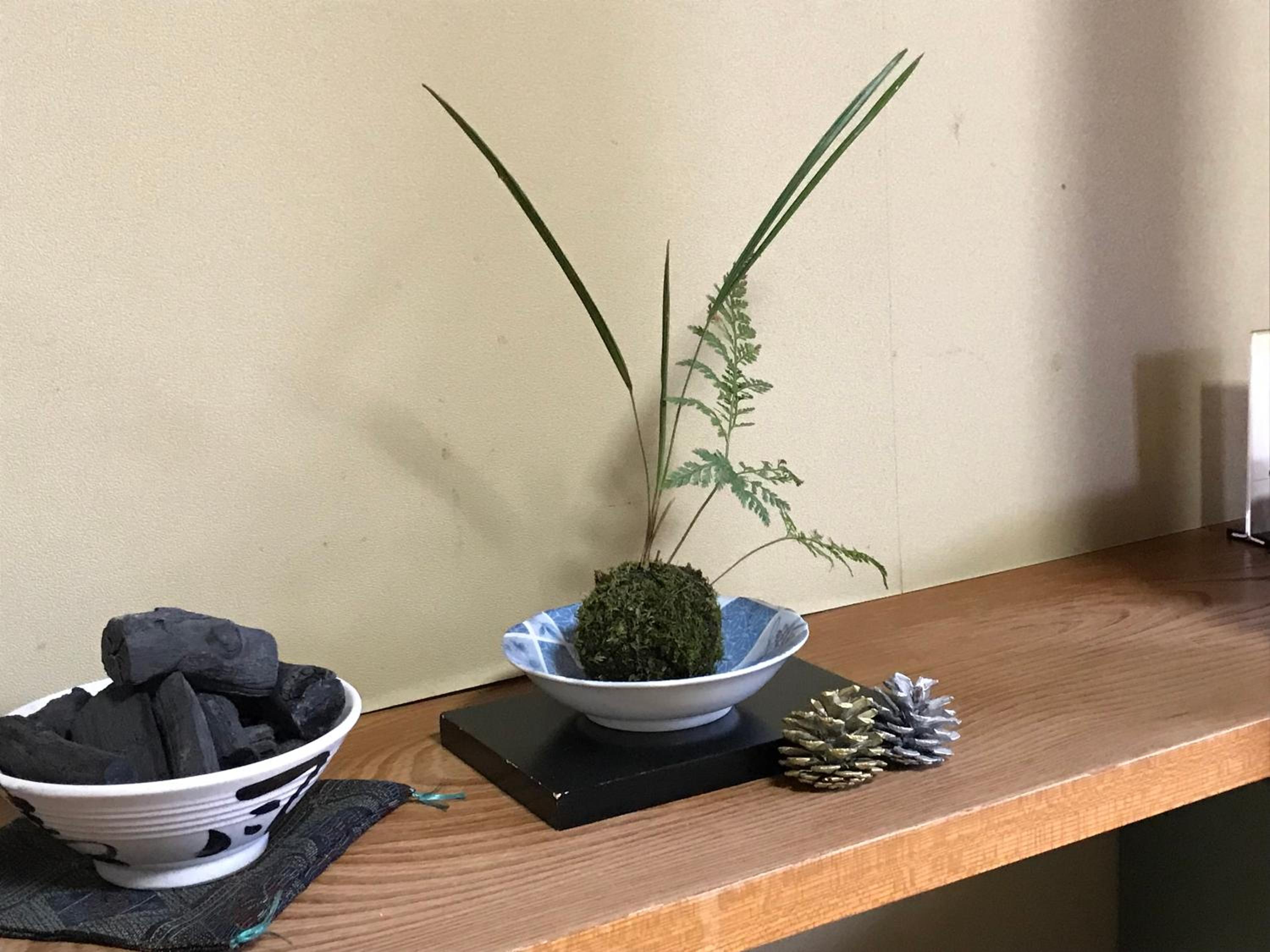Ryujin Onsen Marui Ryokan