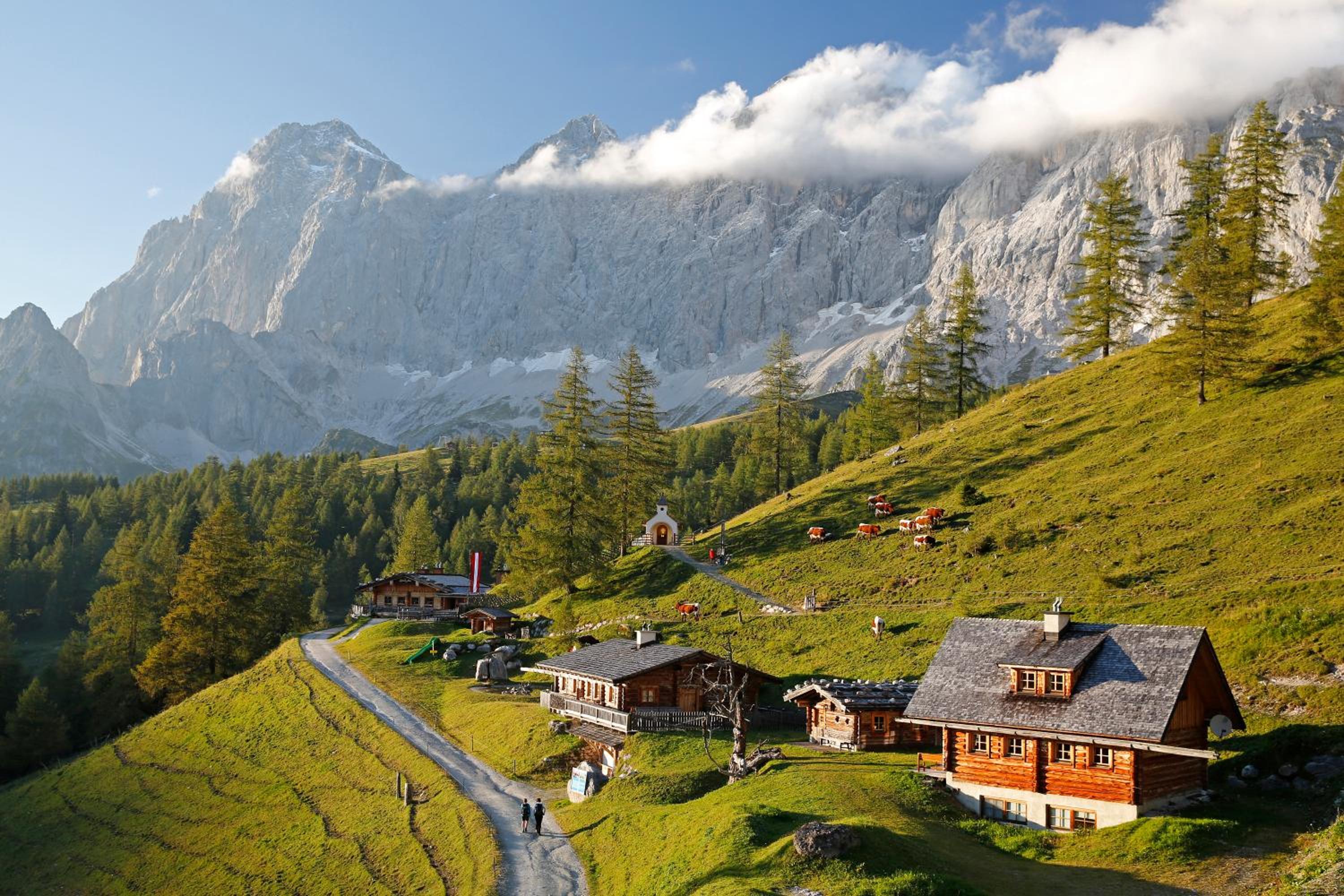 Haus Alpina Ski In & Ski Out