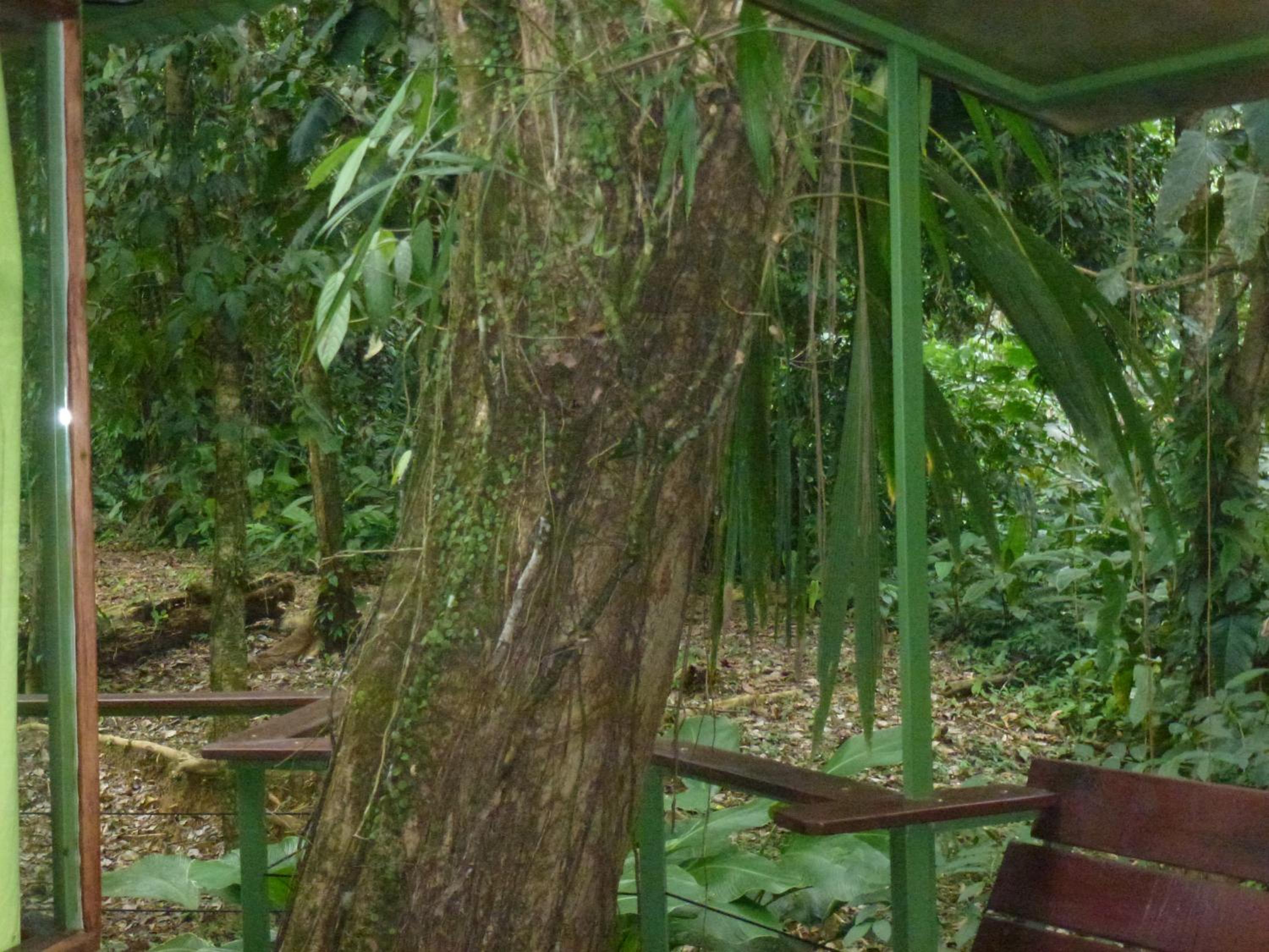 Finca Valeria Treehouses Glamping