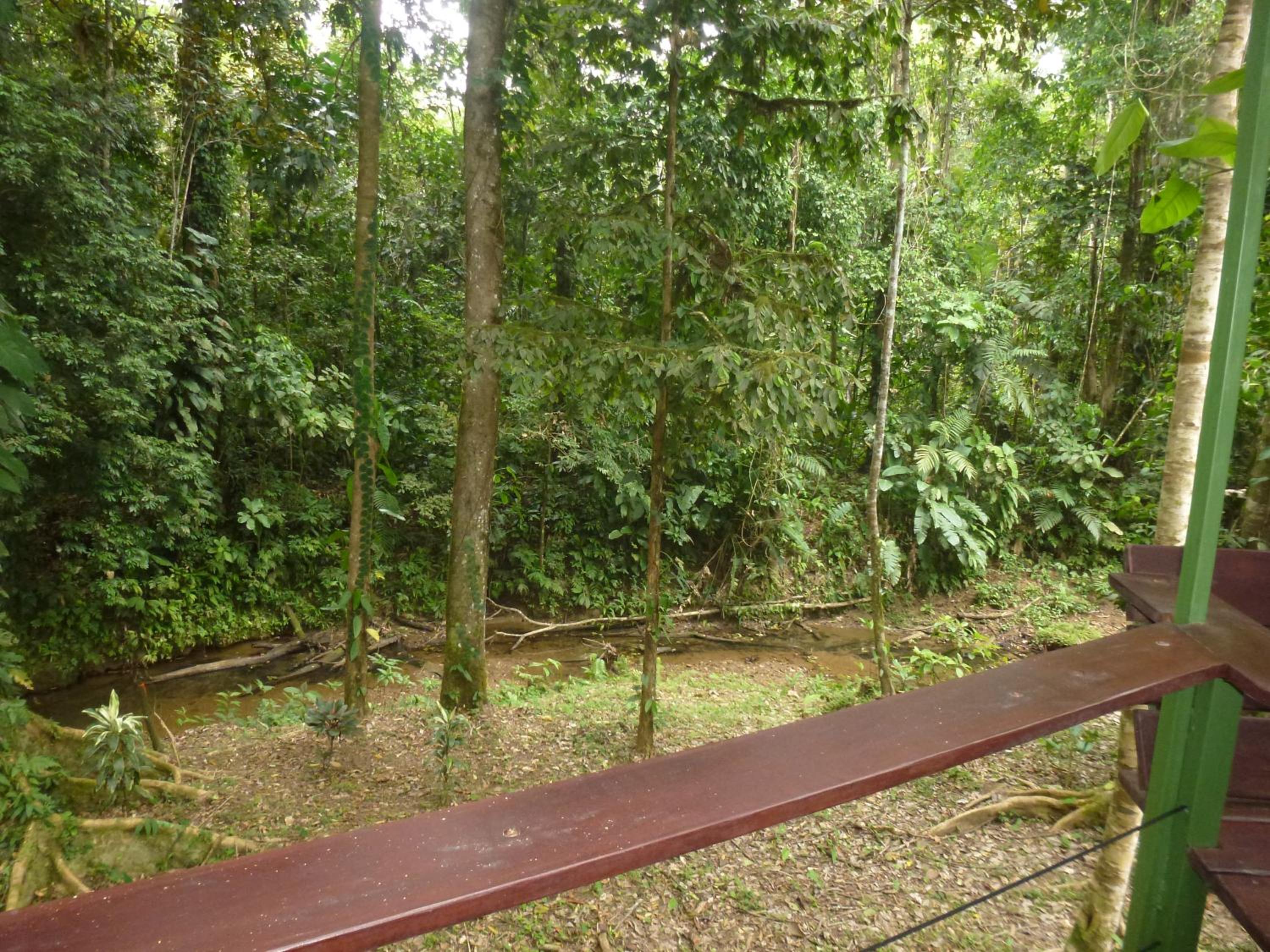 Finca Valeria Treehouses Glamping