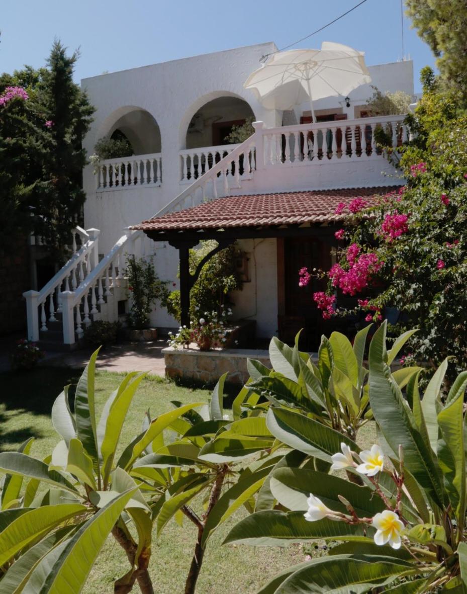 Photo 15