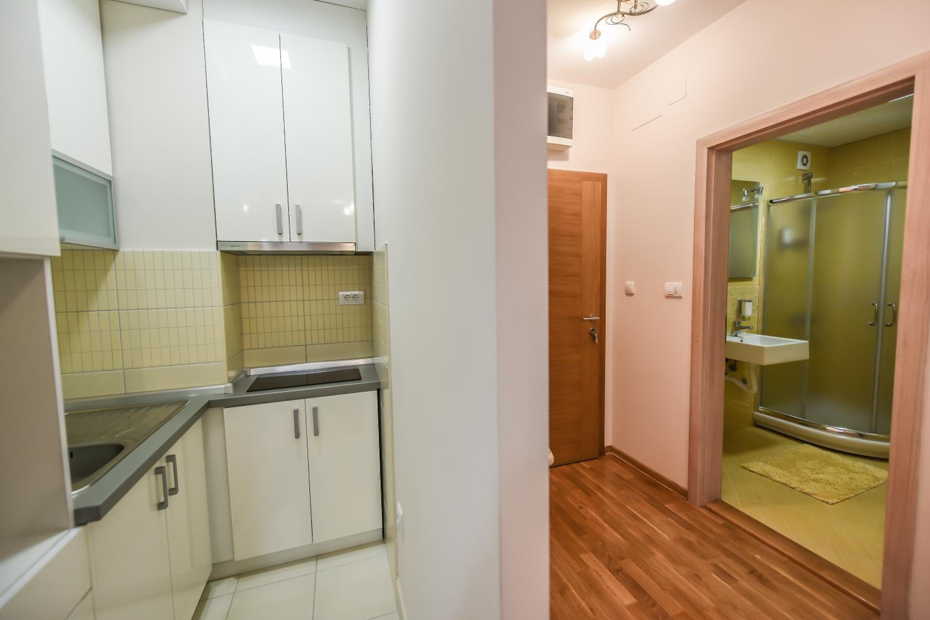 Yasmin Apartment (Pozega in Serbia) view 2