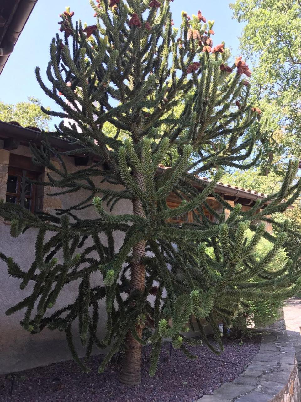 Photo 25