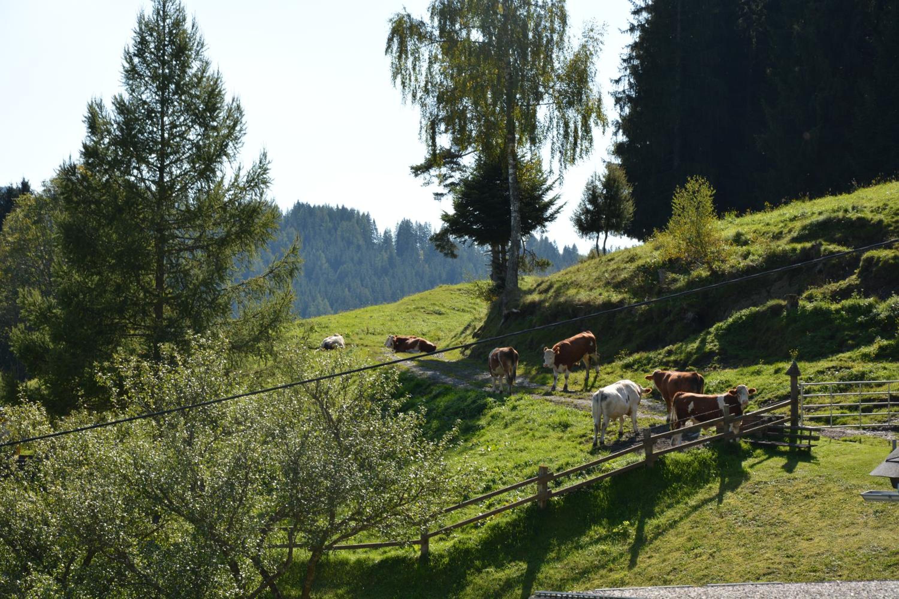 Appart Sölkhof