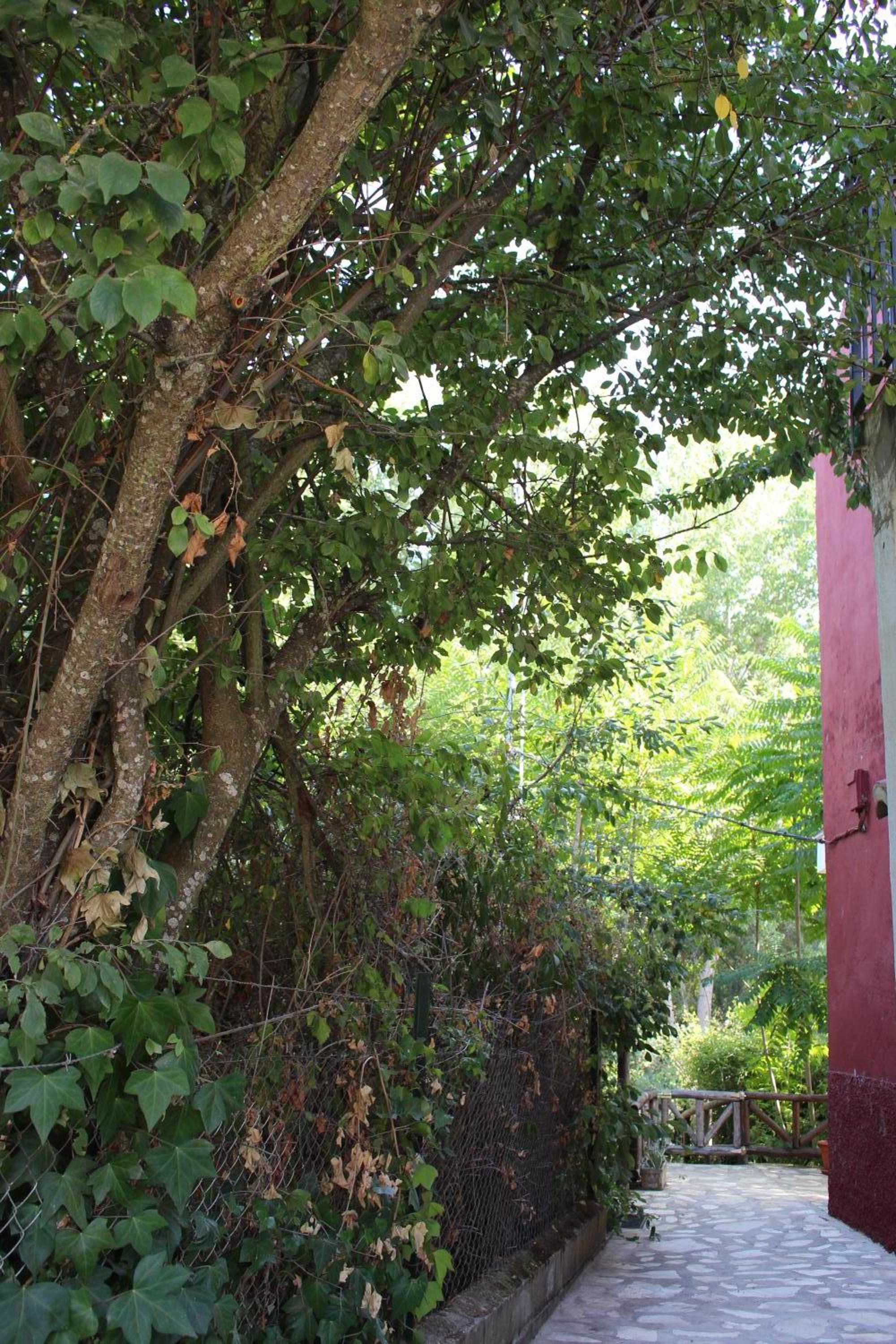 El Balcón del Huéznar