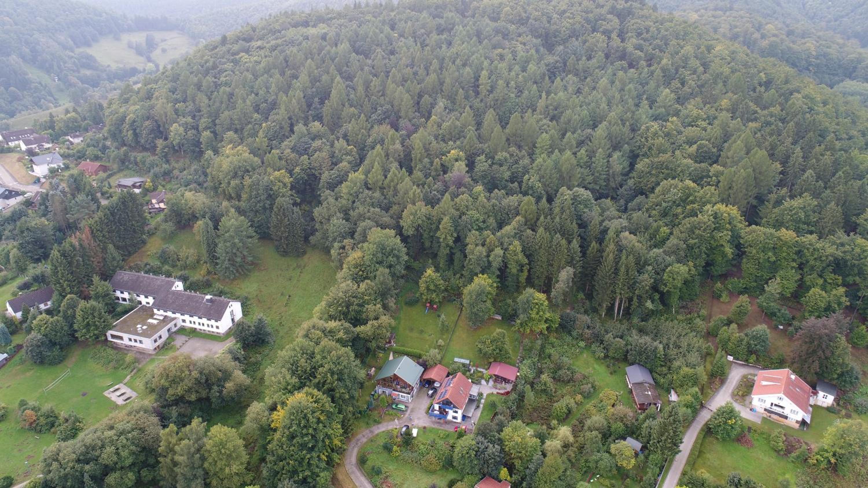 FeWo Harz Haennig 1 view 4
