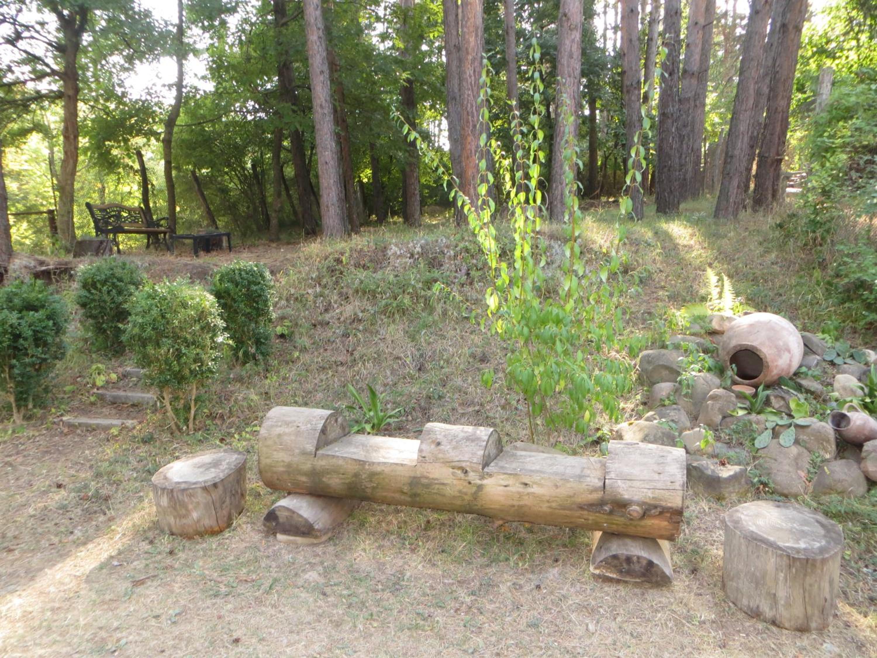 Photo 8
