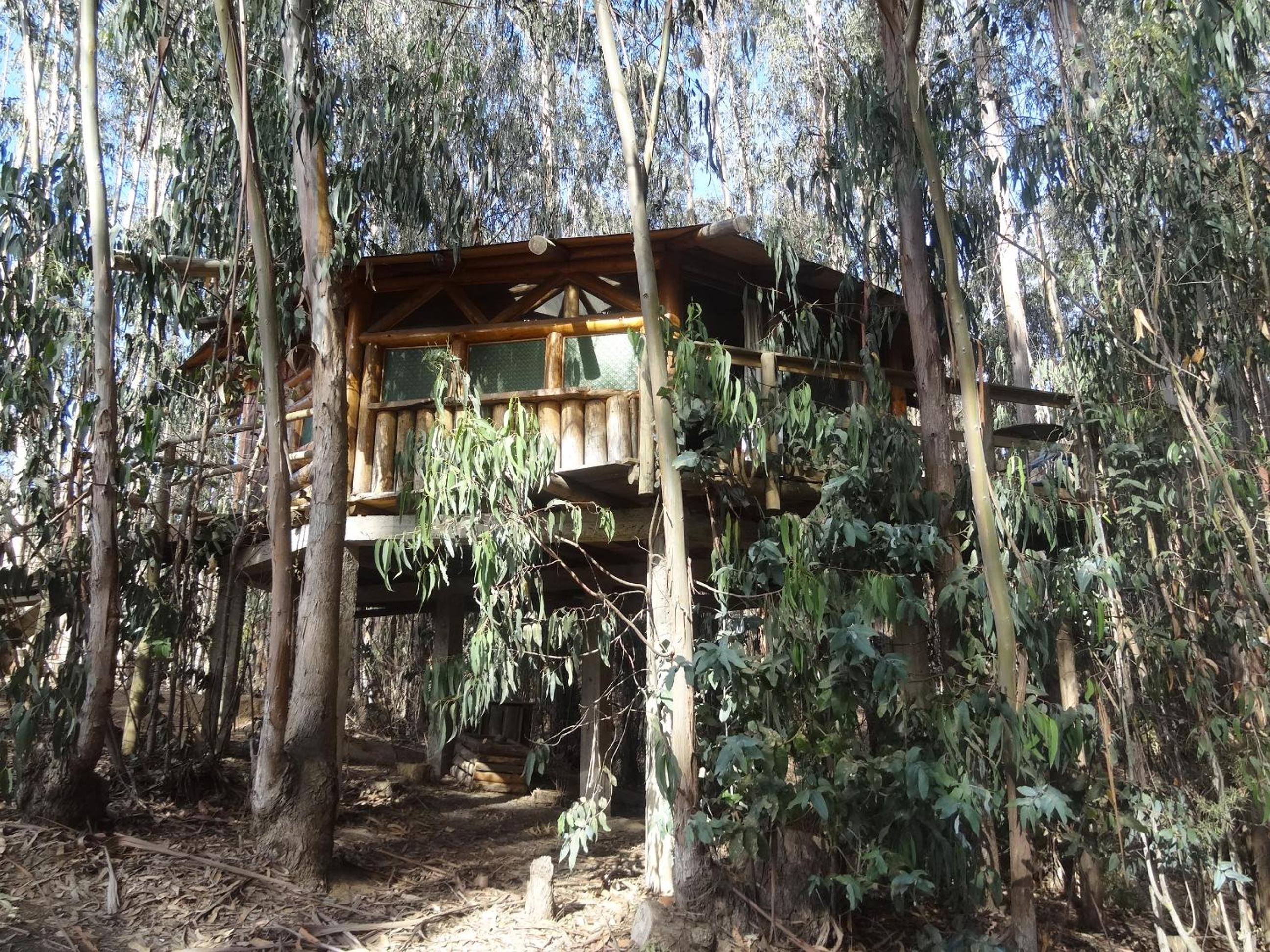 Cabanas Curi-Huapi view 2