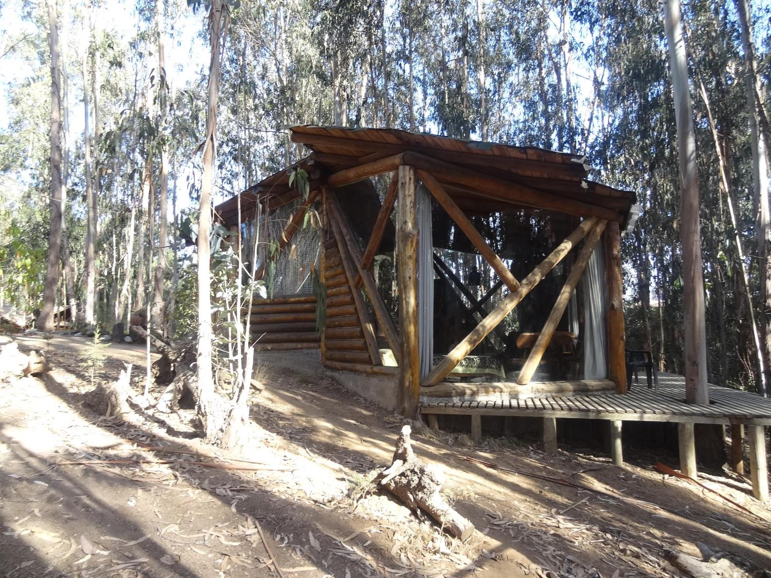 Cabanas Curi-Huapi view 5