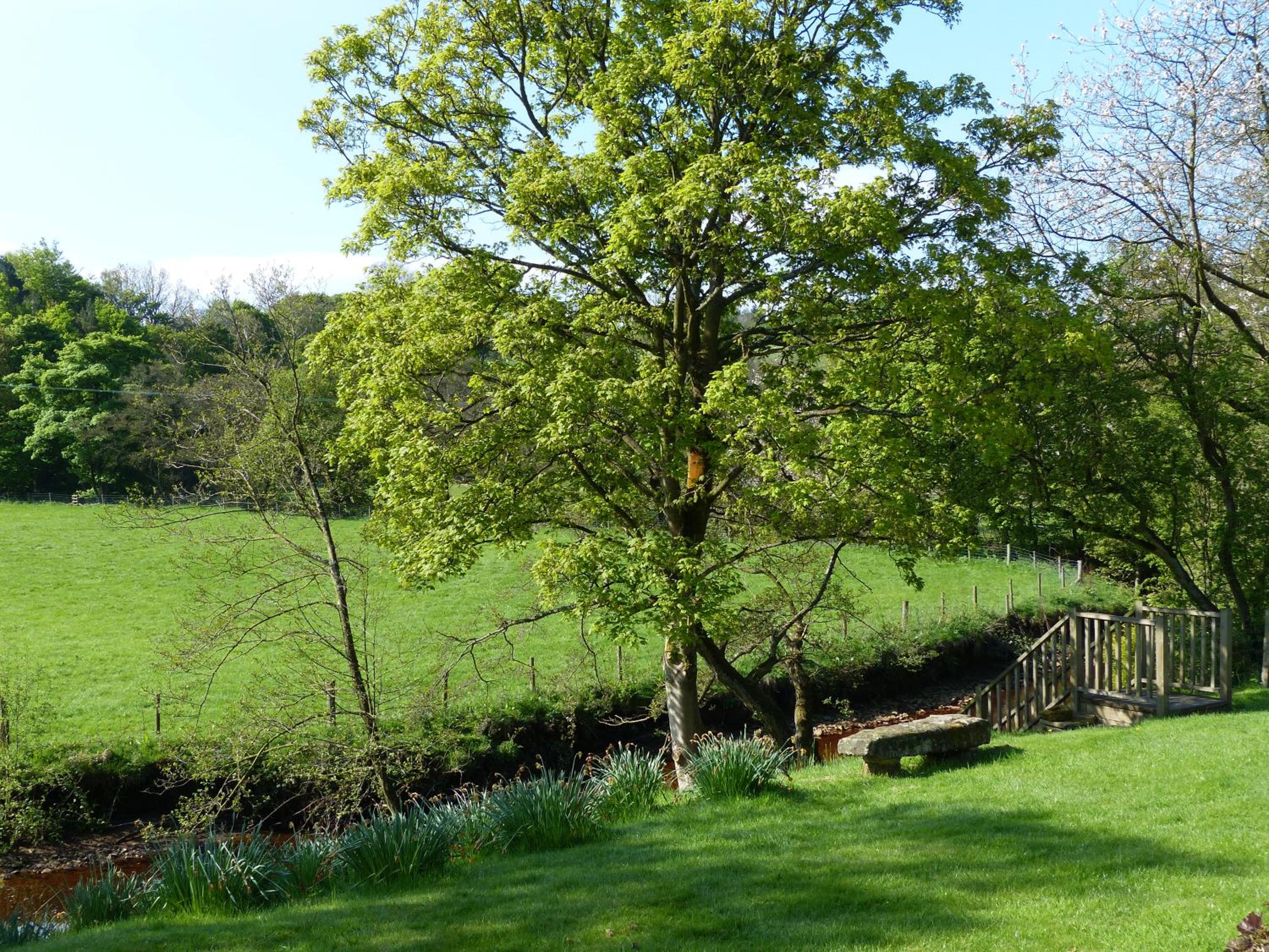 Millbrook