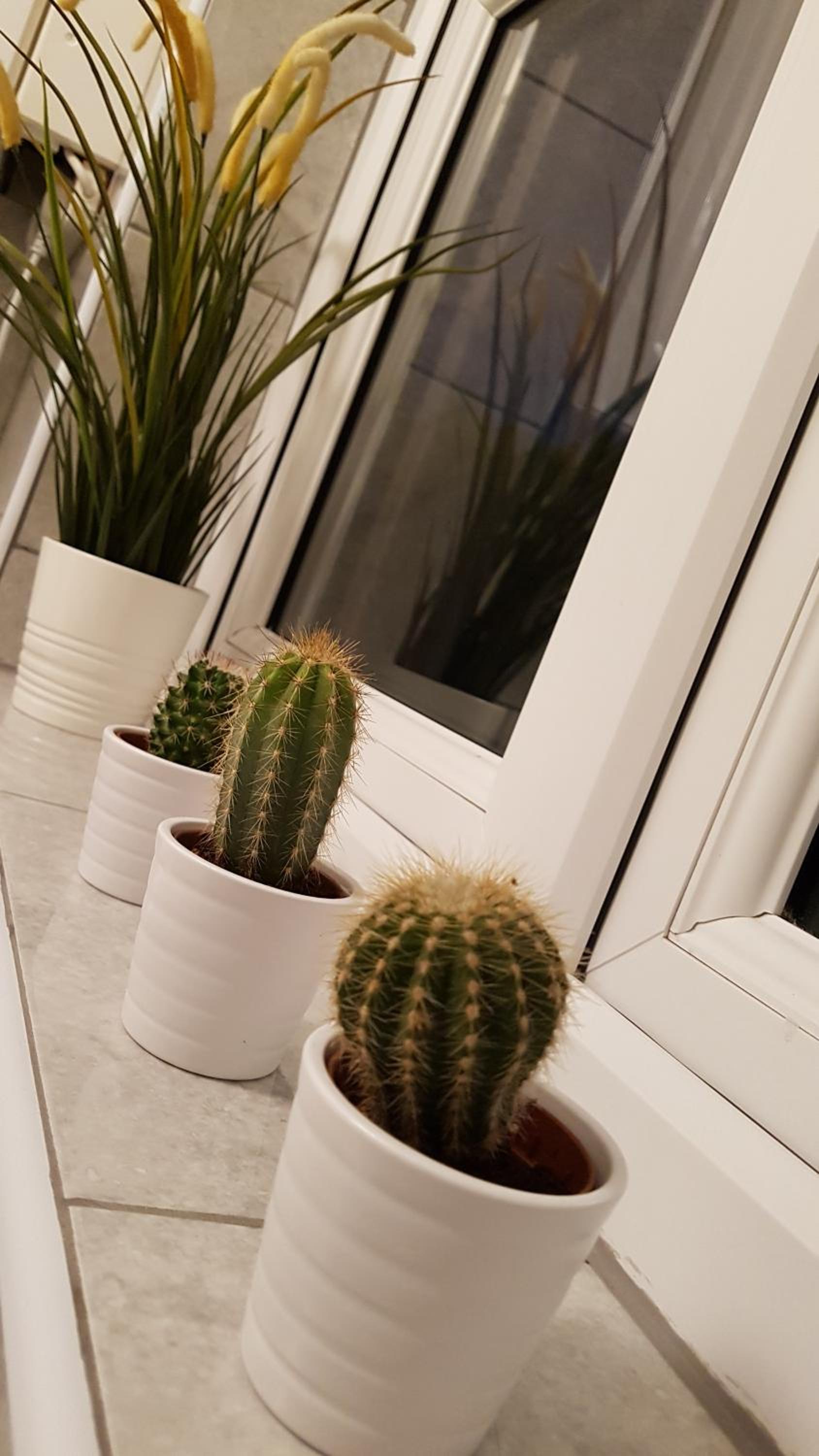 Fantastic 2 bedroom flat close to King's Cross