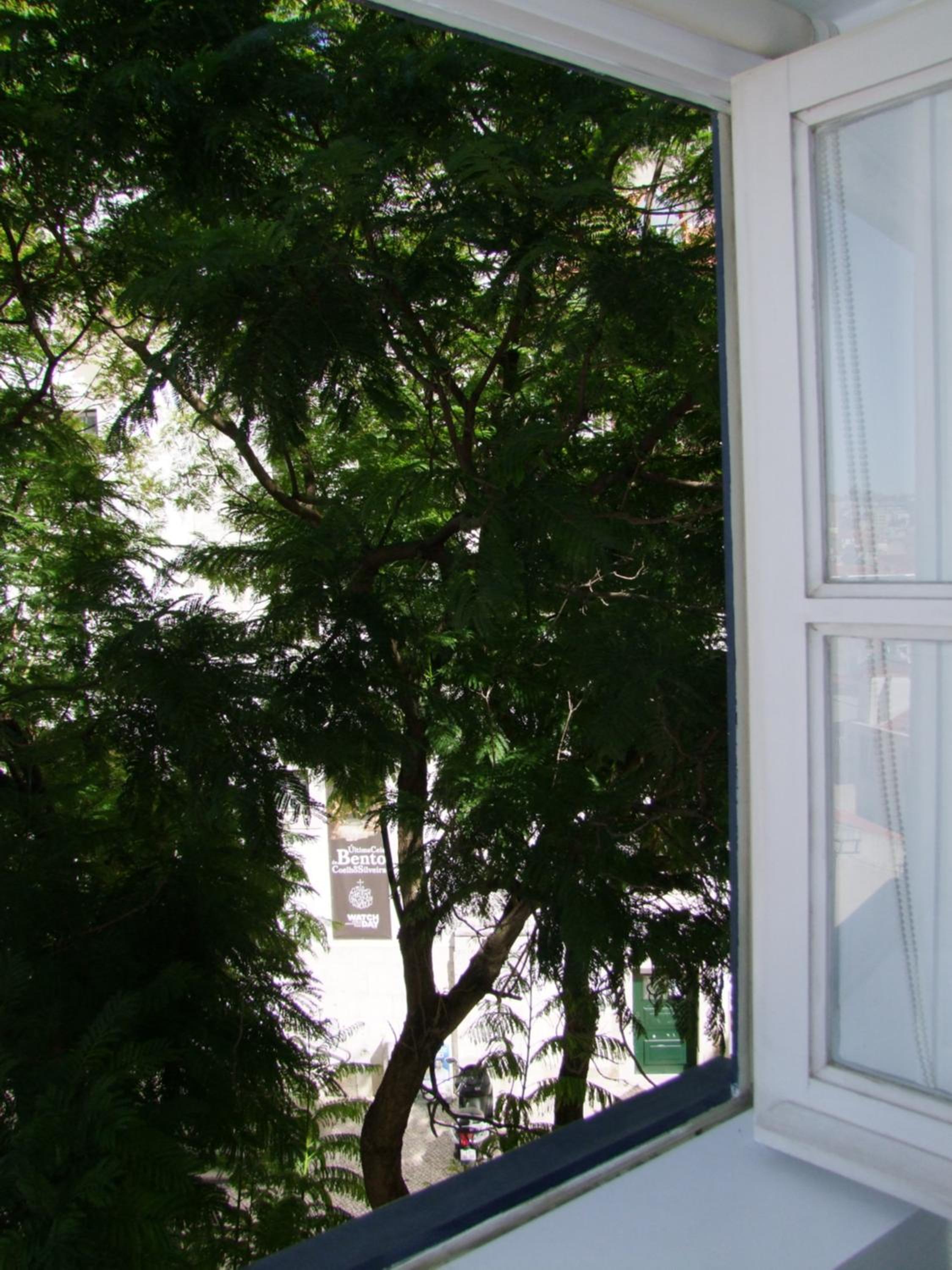 Casa do Caldas view 3