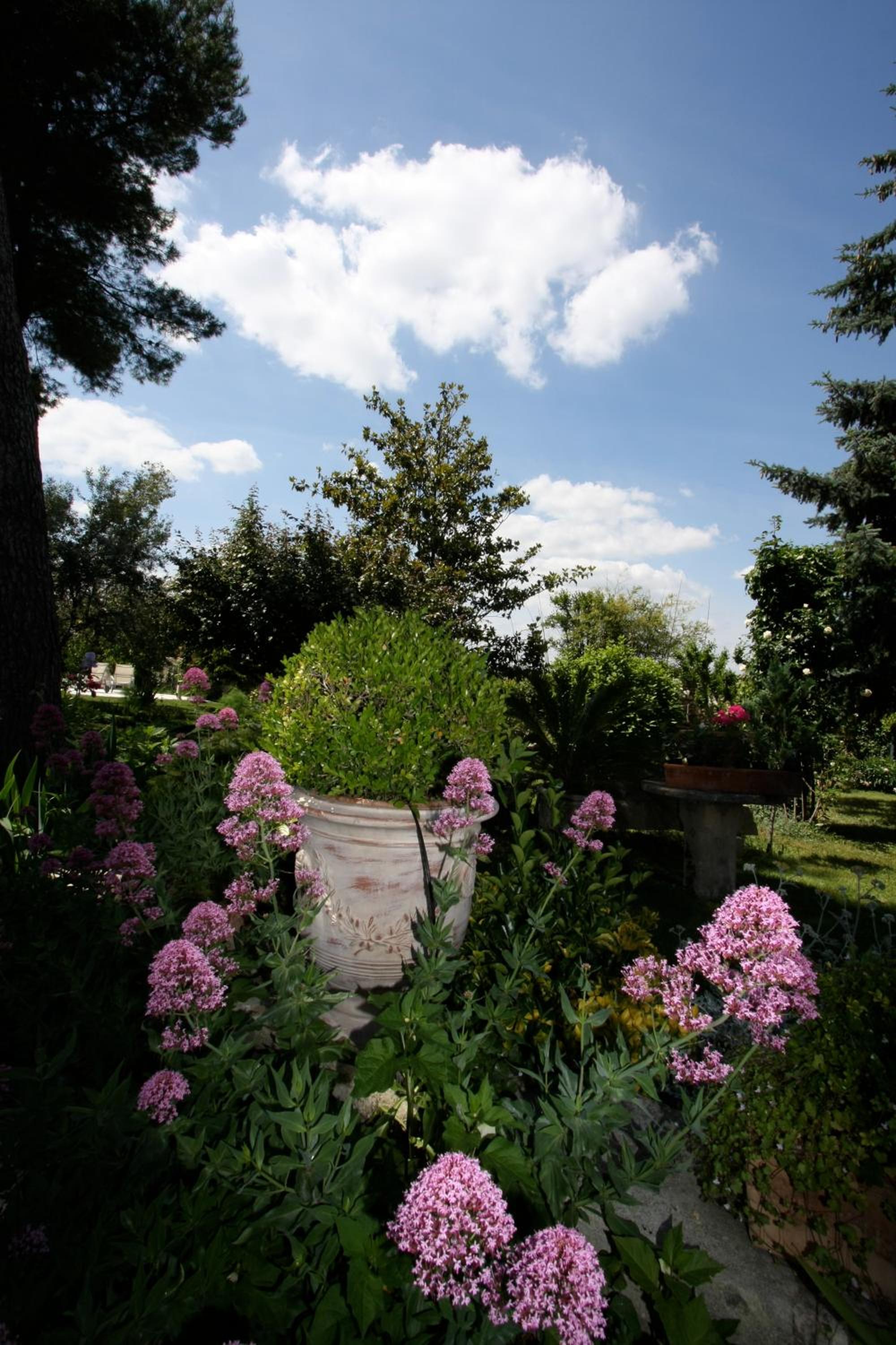 Photo 27