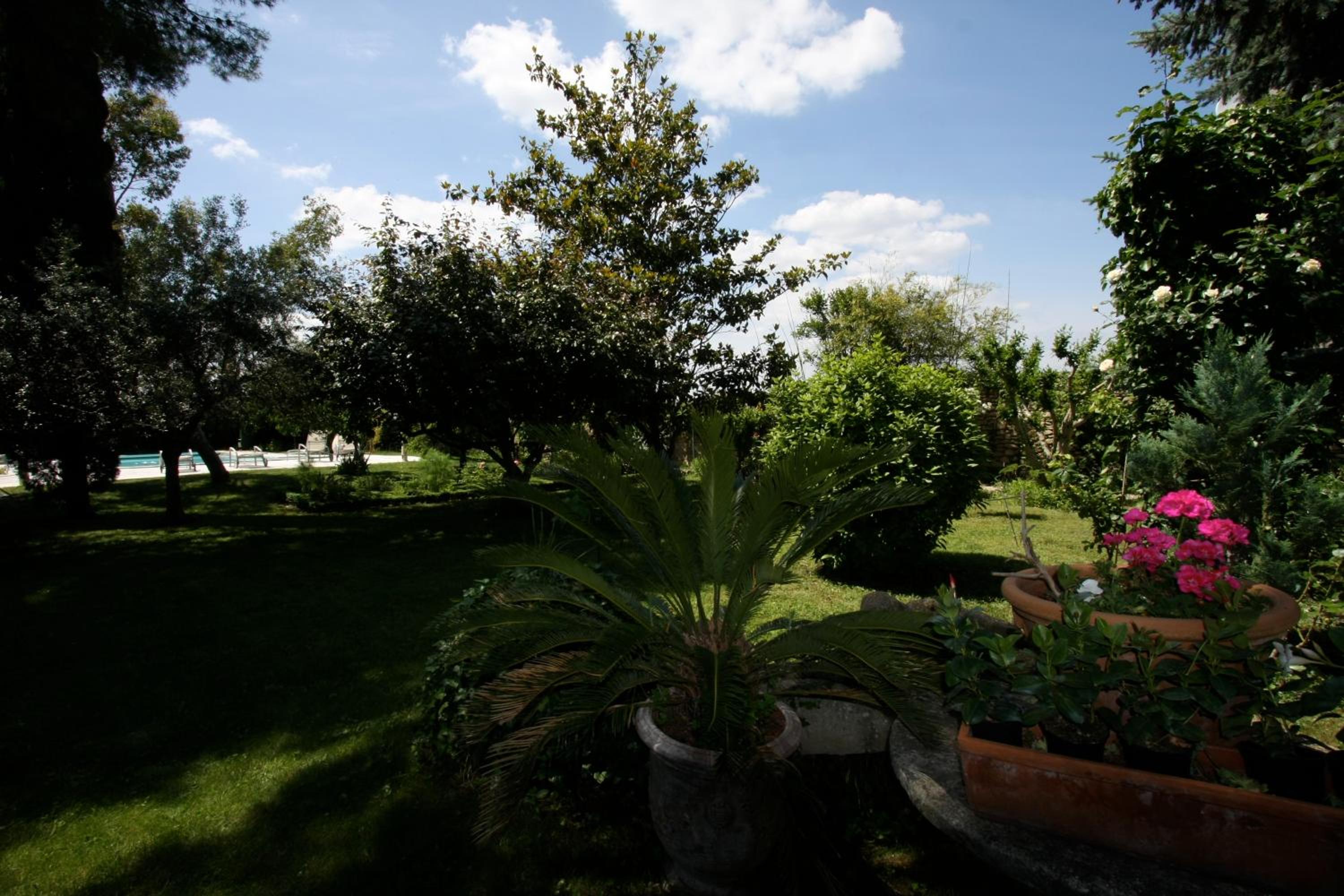 Photo 20