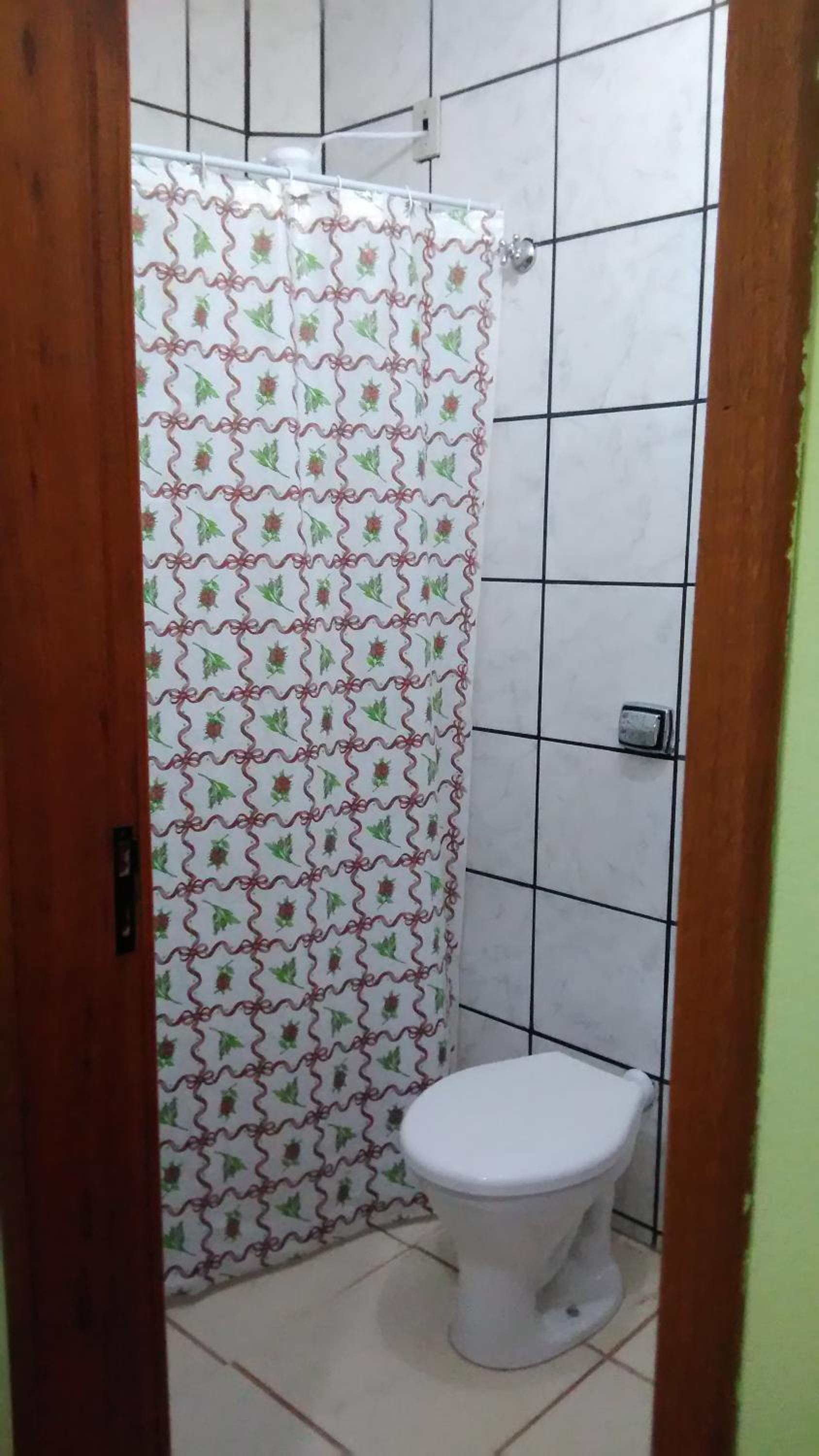 Tartaruga Azul