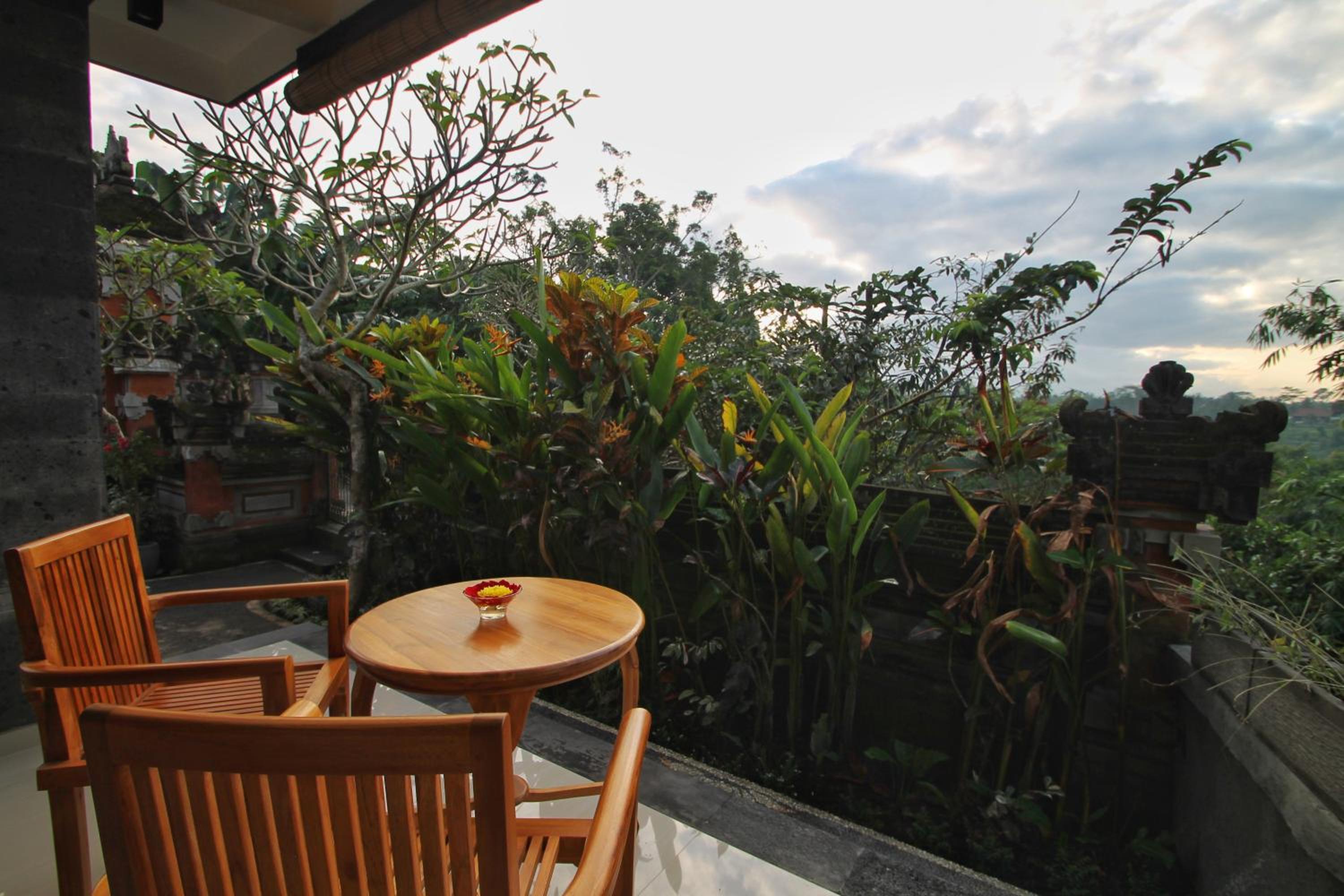 Ubud Sky view 2