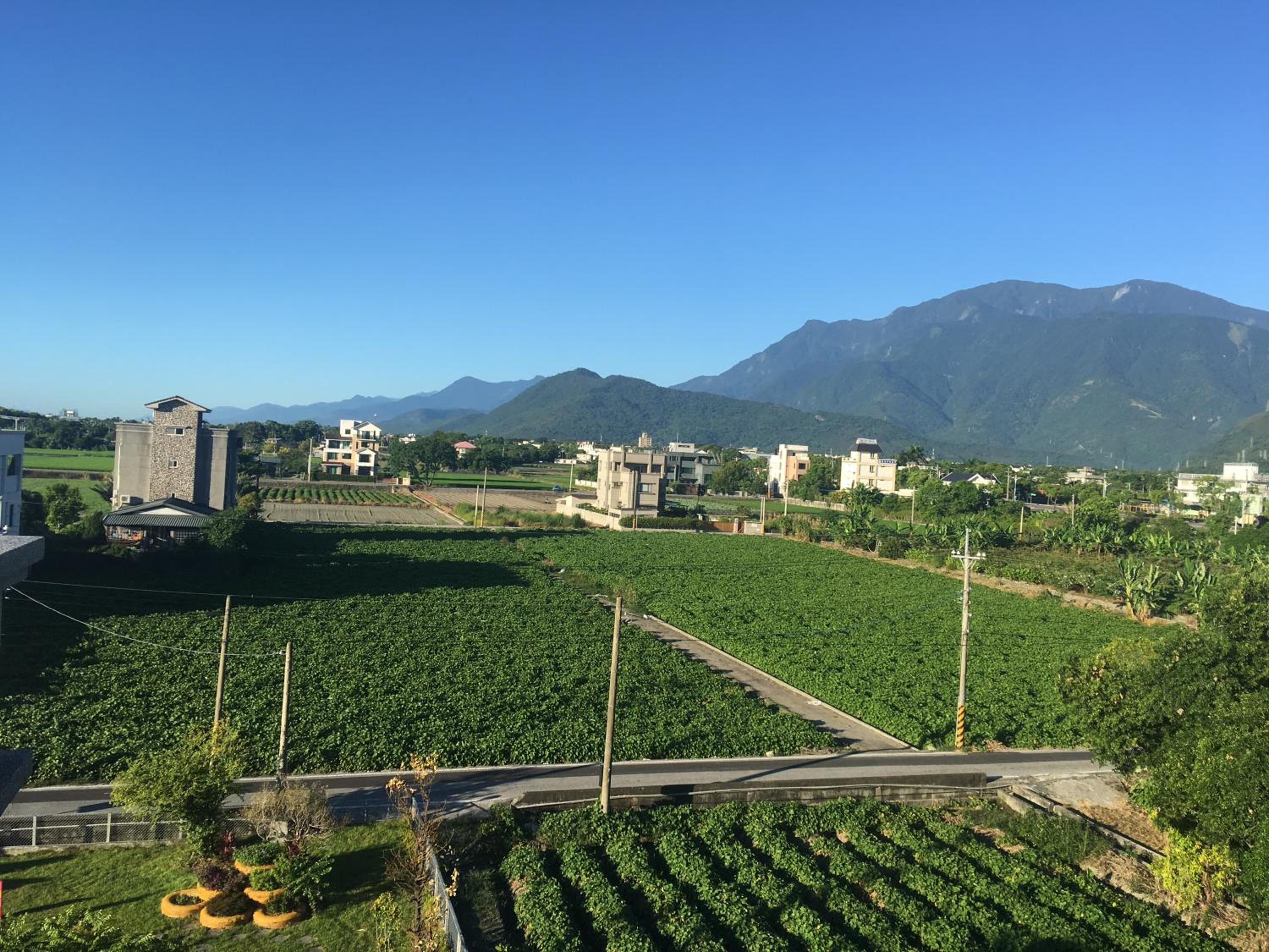 Bo Jue Farm Stay