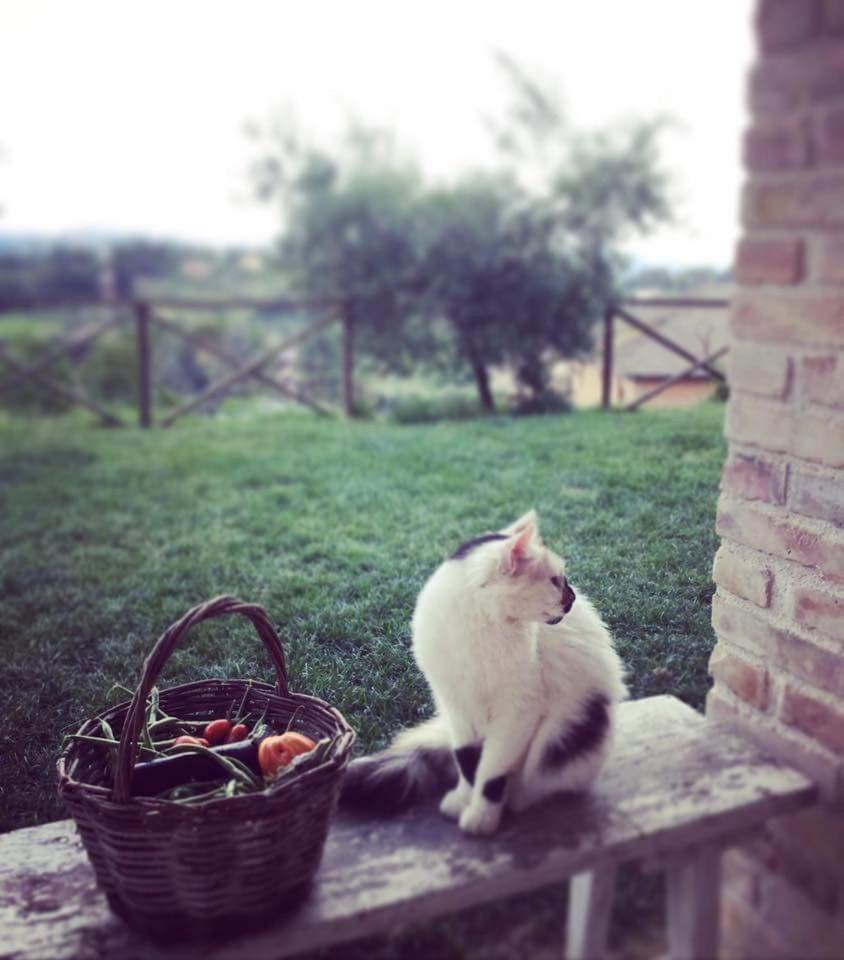 Photo 40