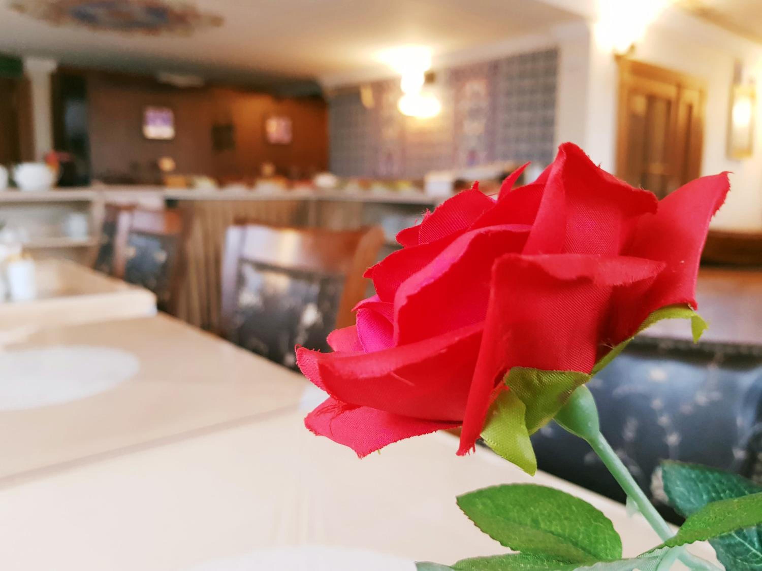 Aldem Hotel - Image 47