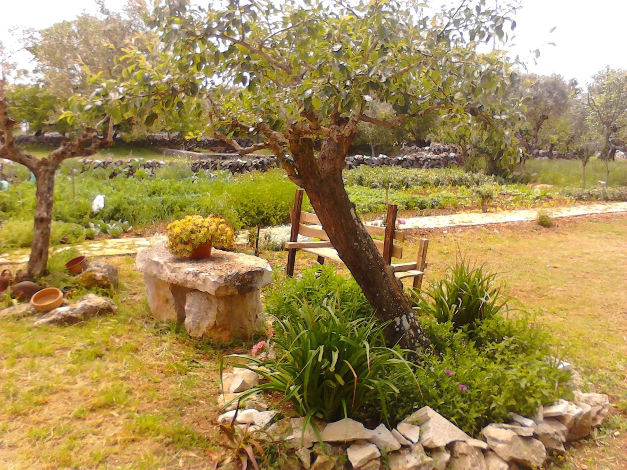 Photo 12