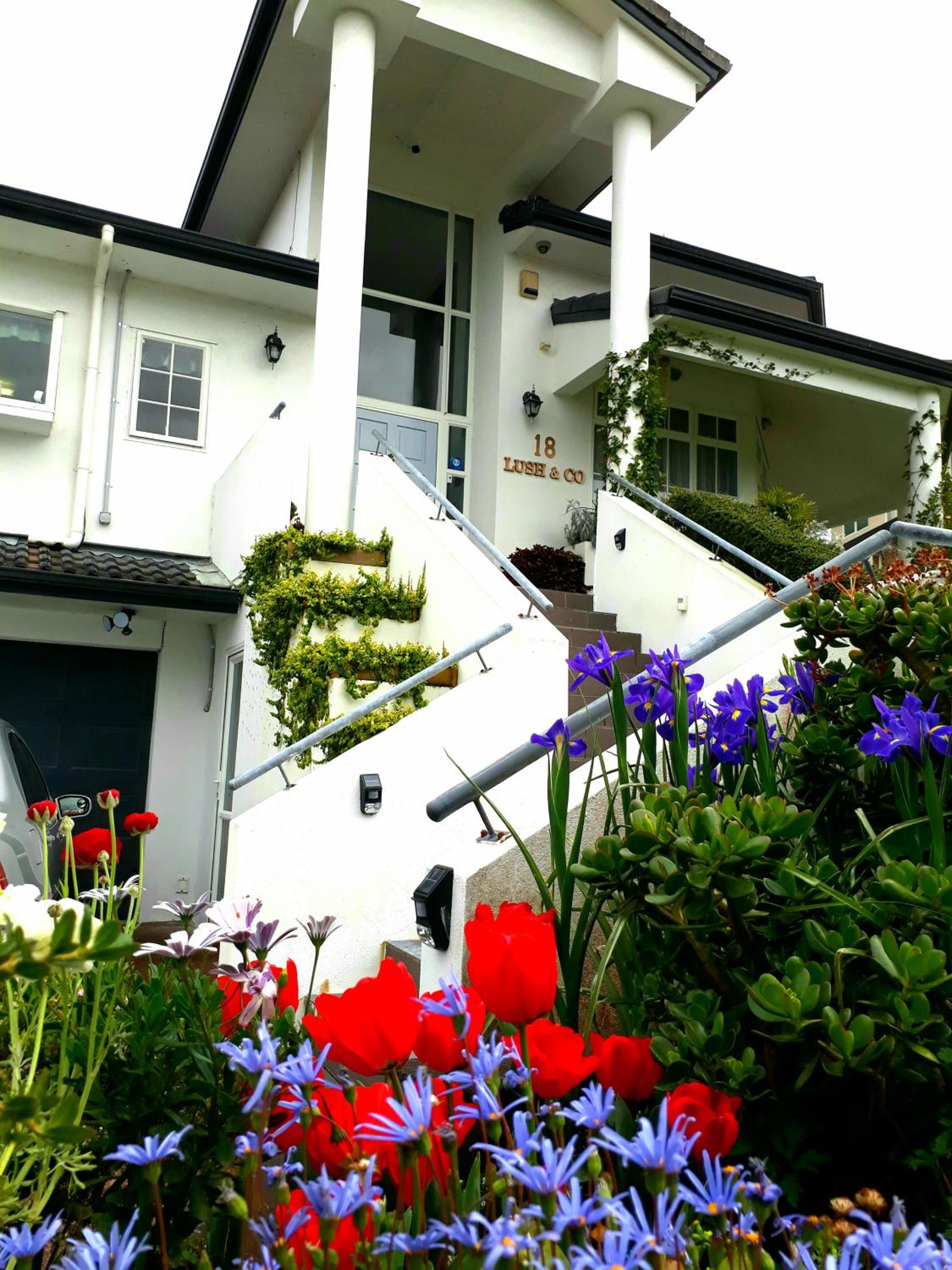 Lush & Co Auckland Bed & Breakfast