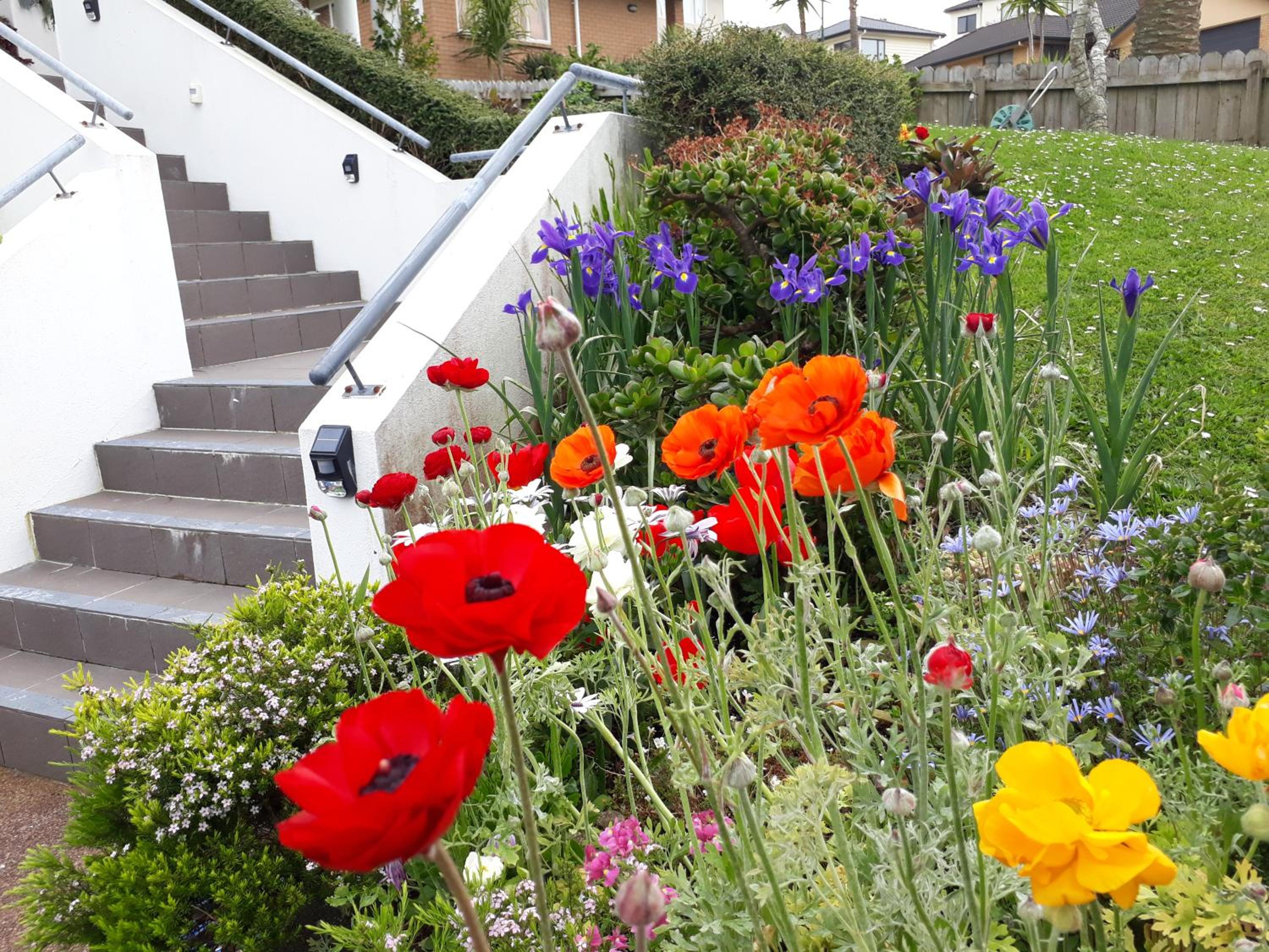 Lush & Co Auckland Bed & Breakfast