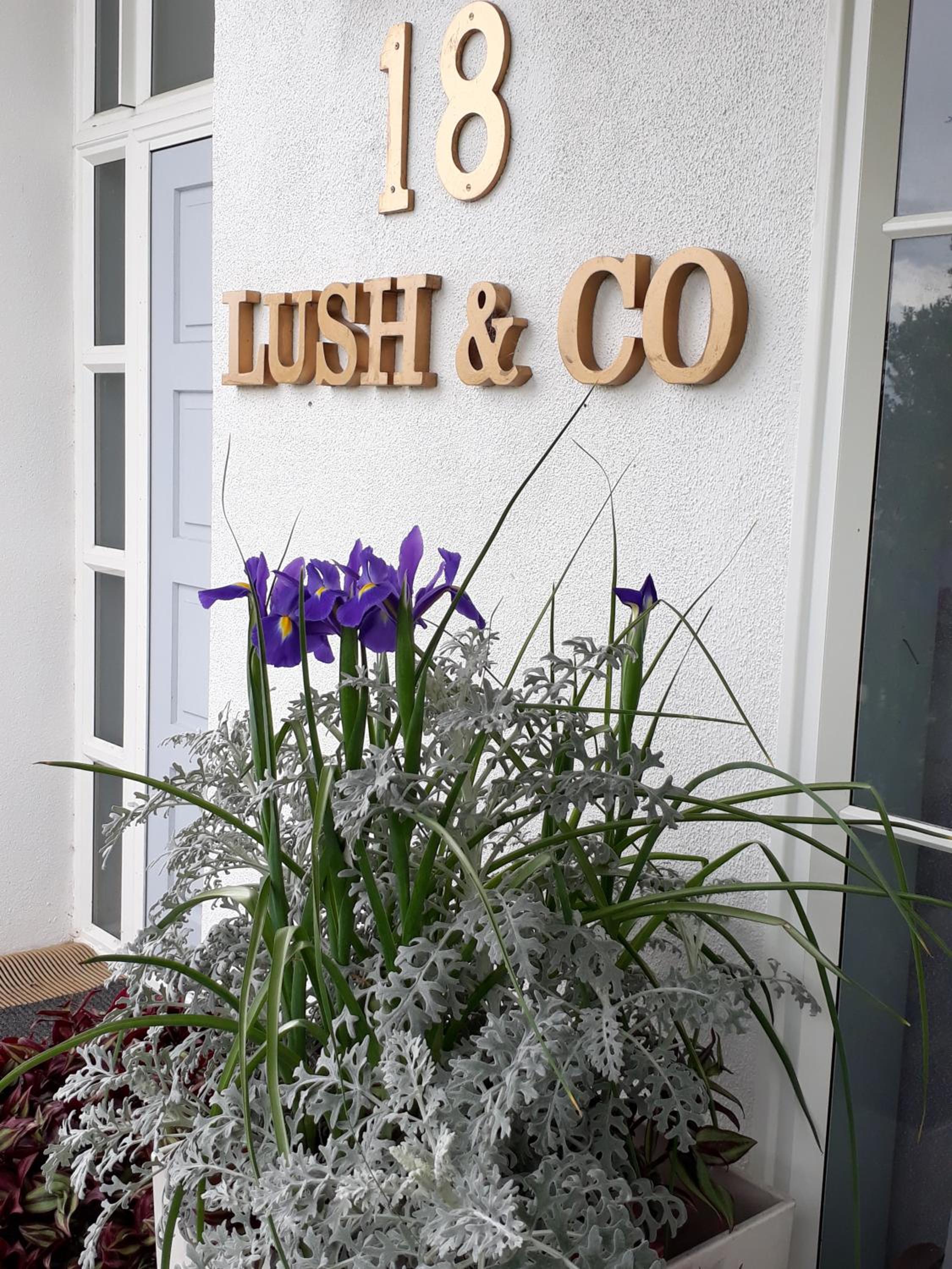 Lush & Co Auckland Bed & Breakfast