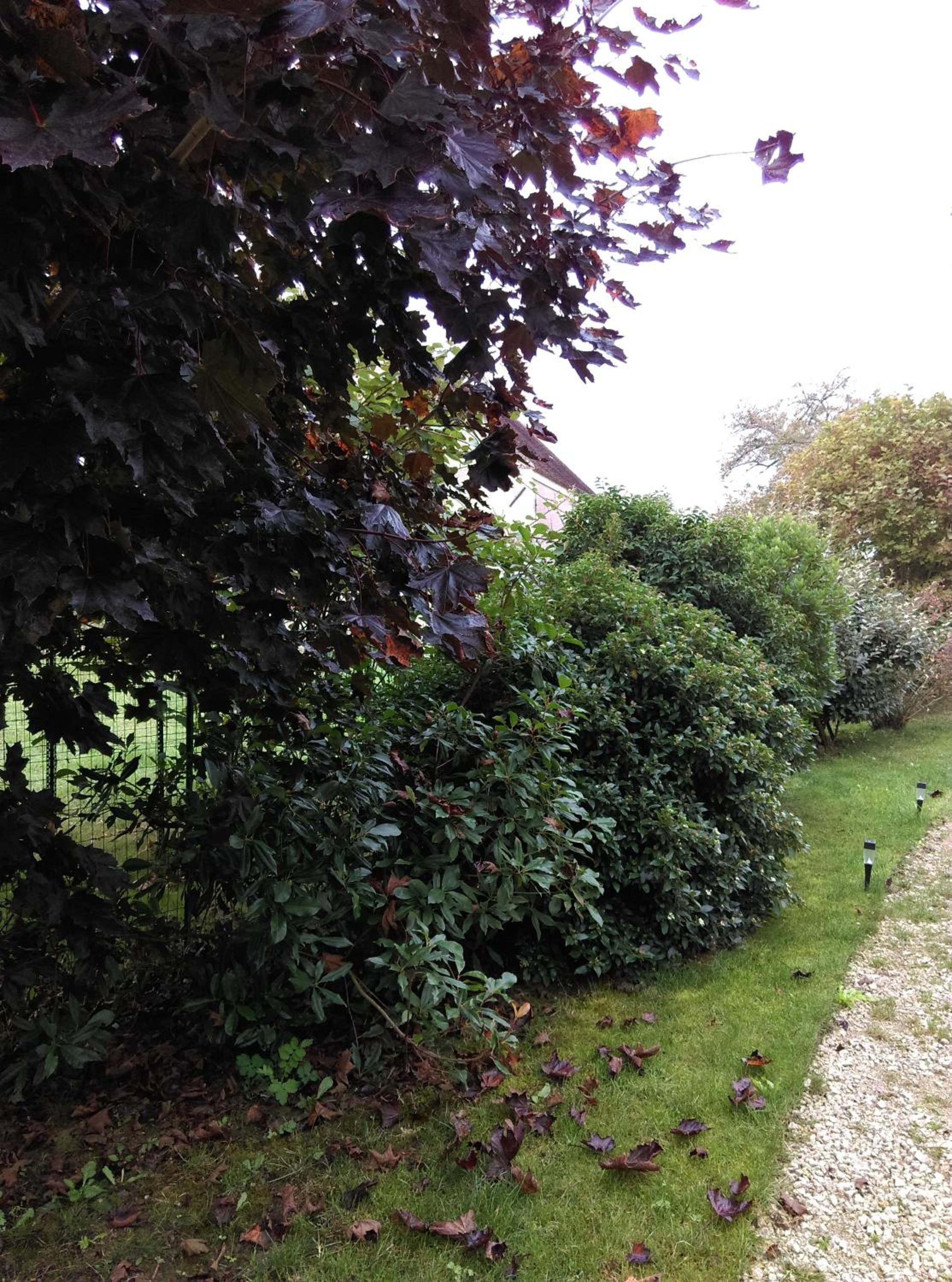 Photo 29