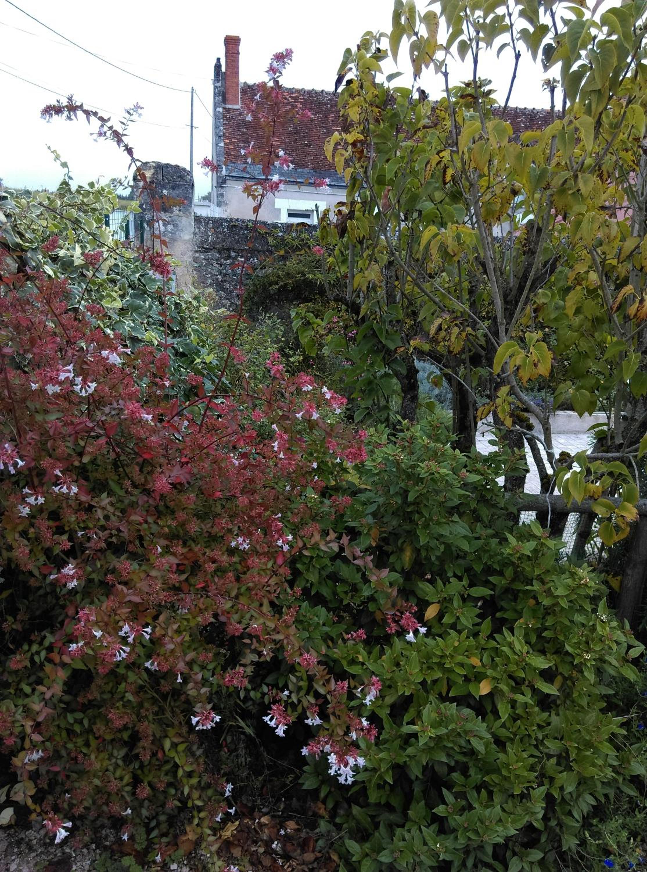 Photo 27