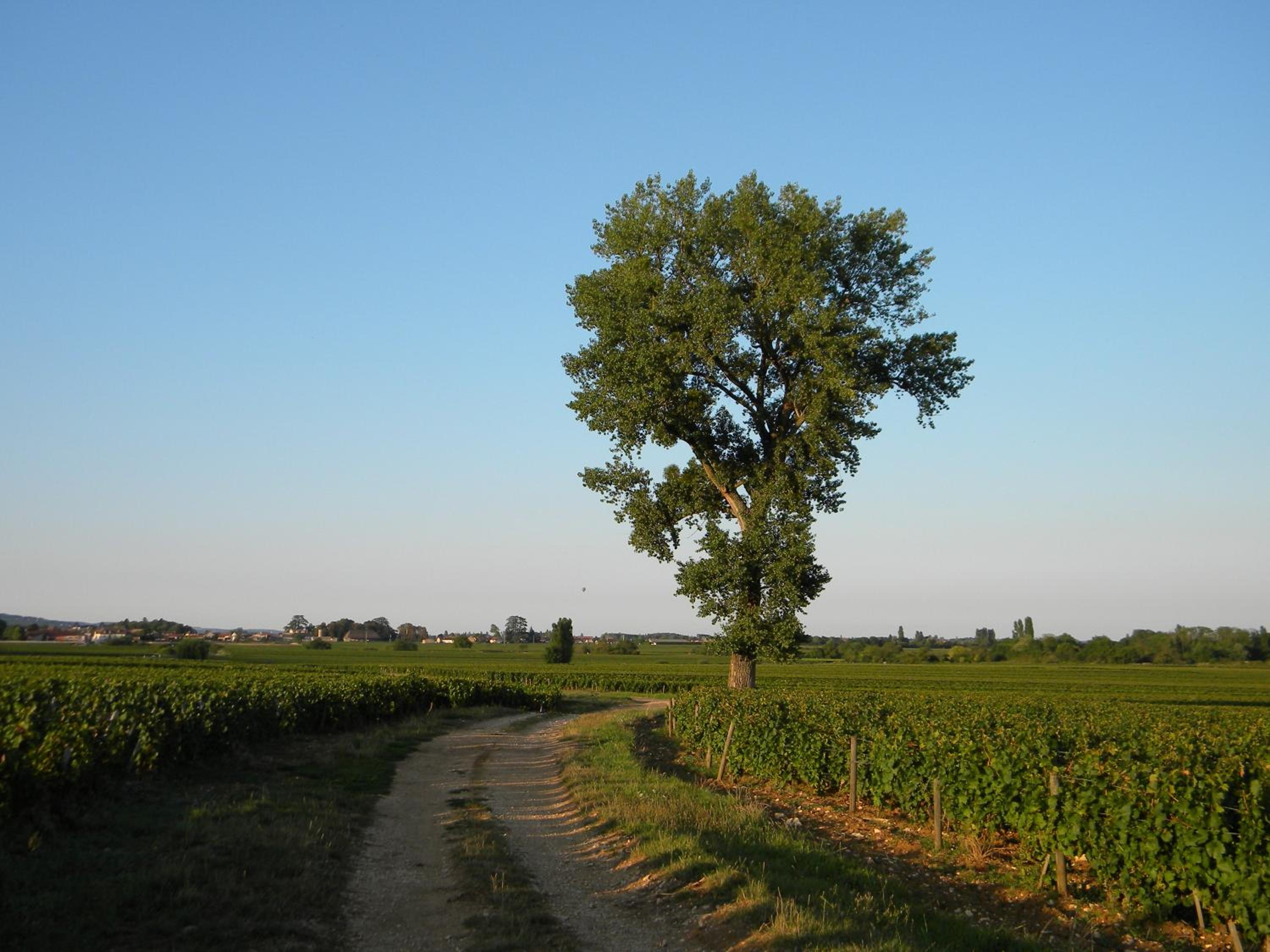 Photo 32