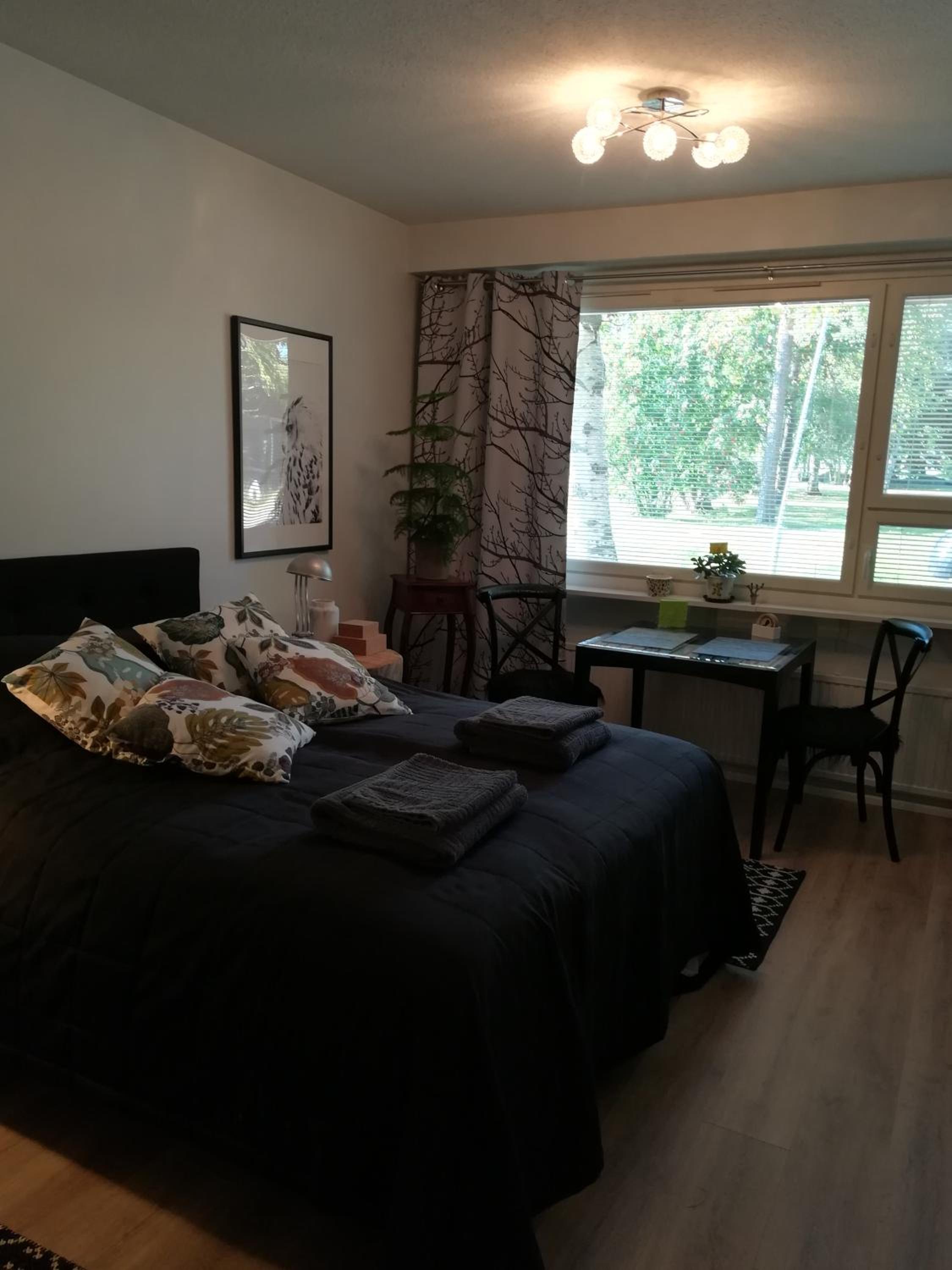 Arctic Home, in the city centre, free parking view 3