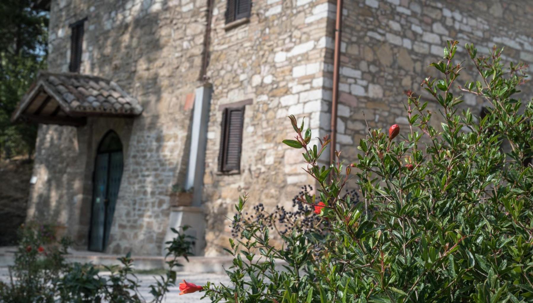 B&B Cantico Delle Creature