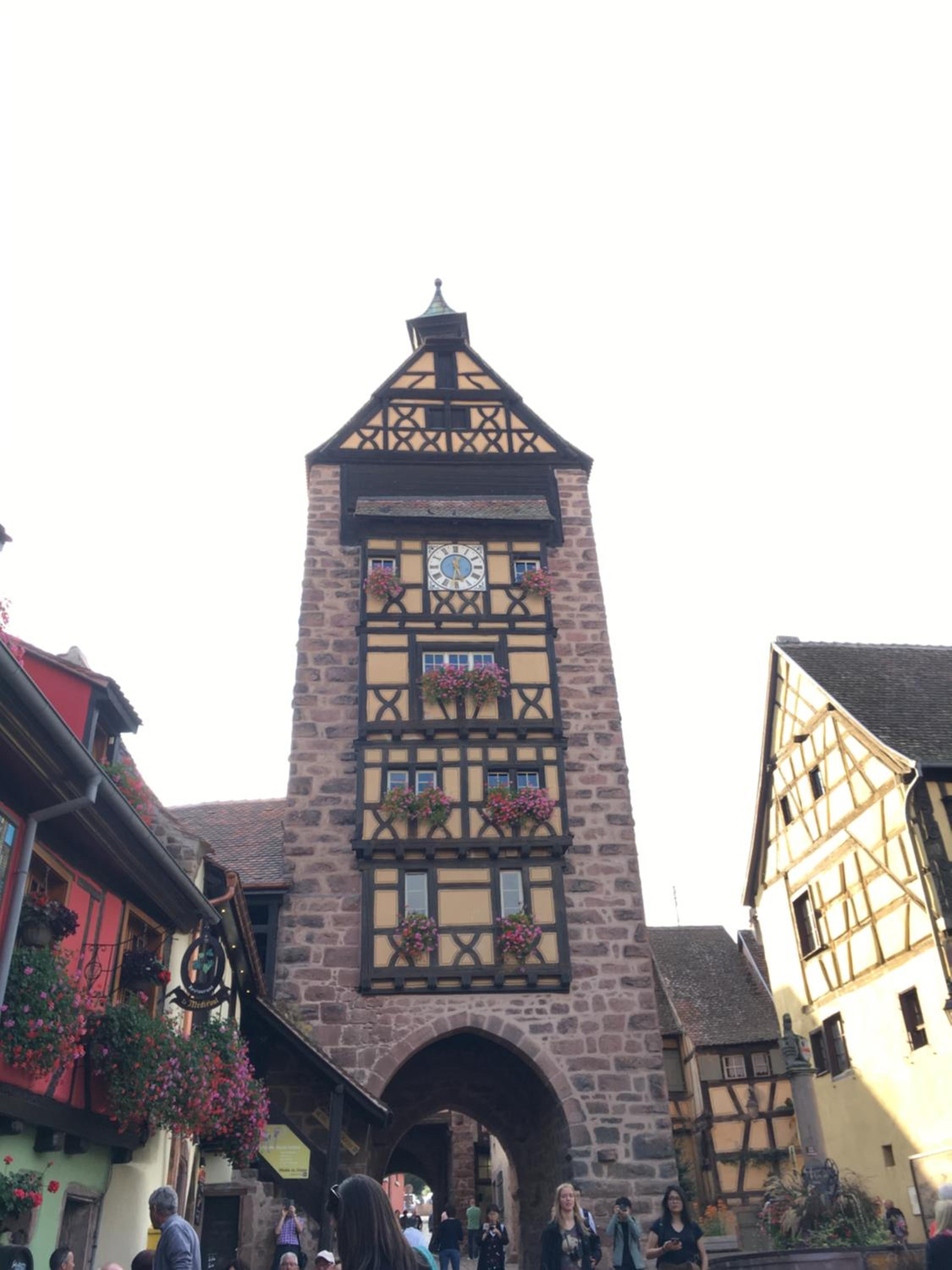 Photo 20