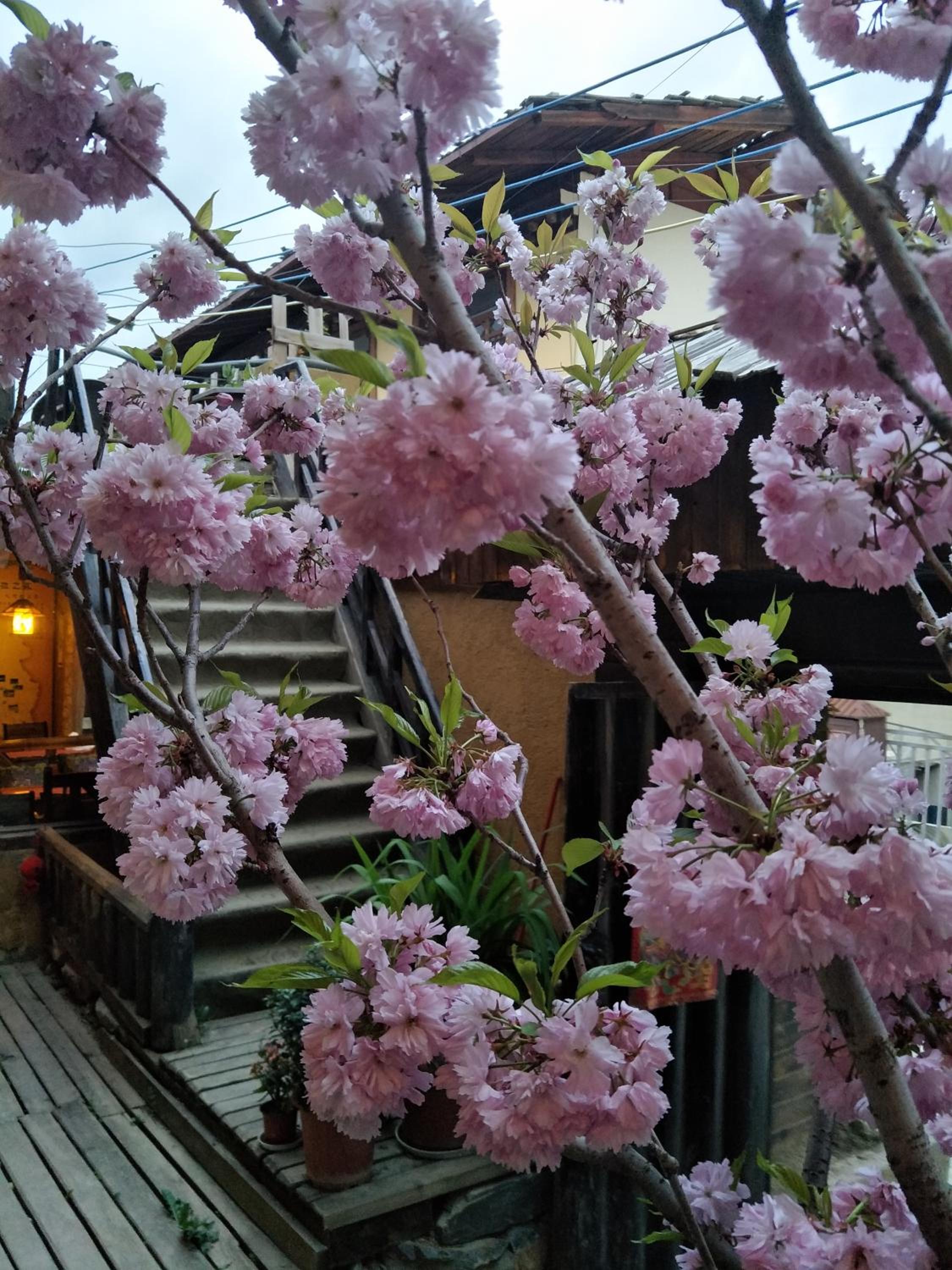 Photo 20