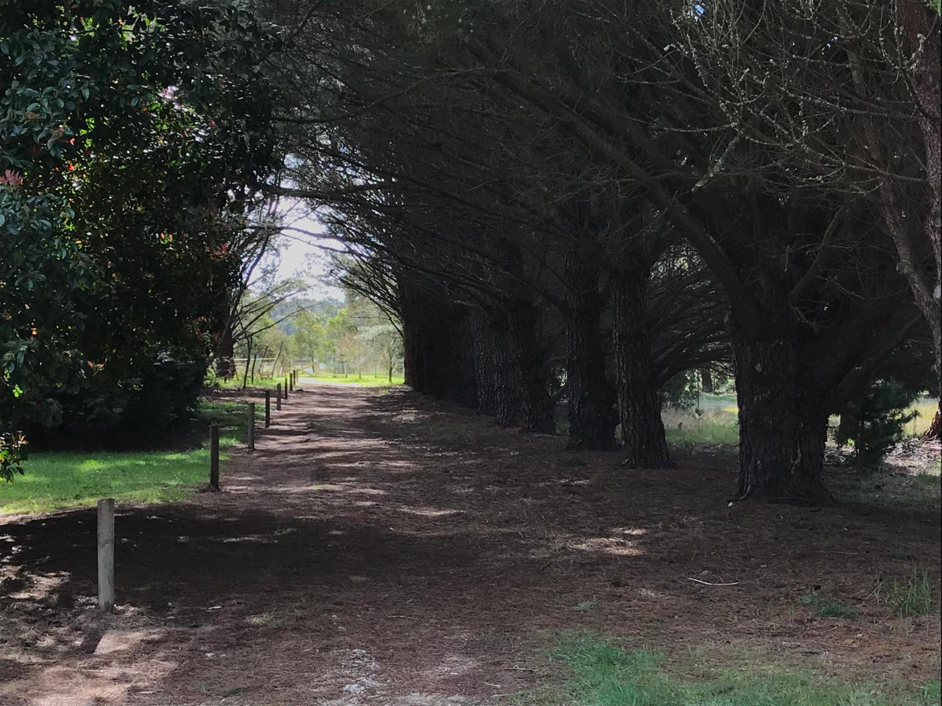 Helen's Homestead