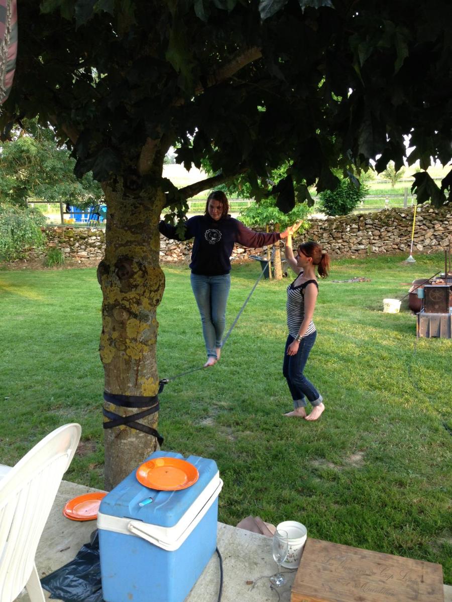 Photo 42