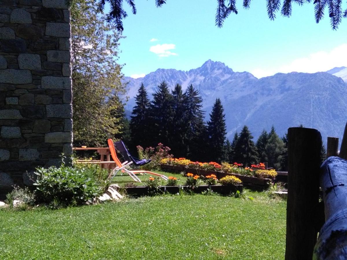 Photo 31