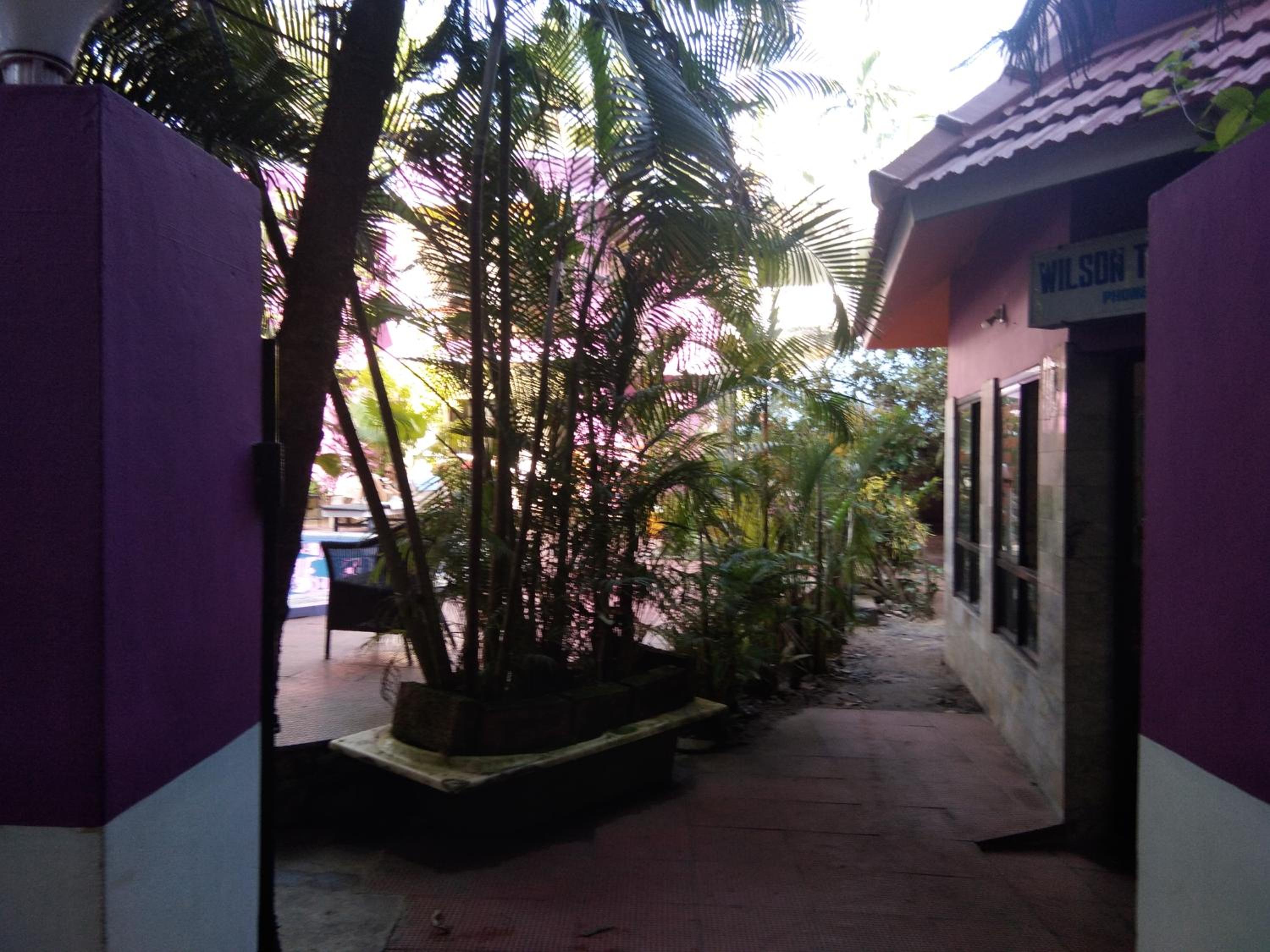 Photo 16