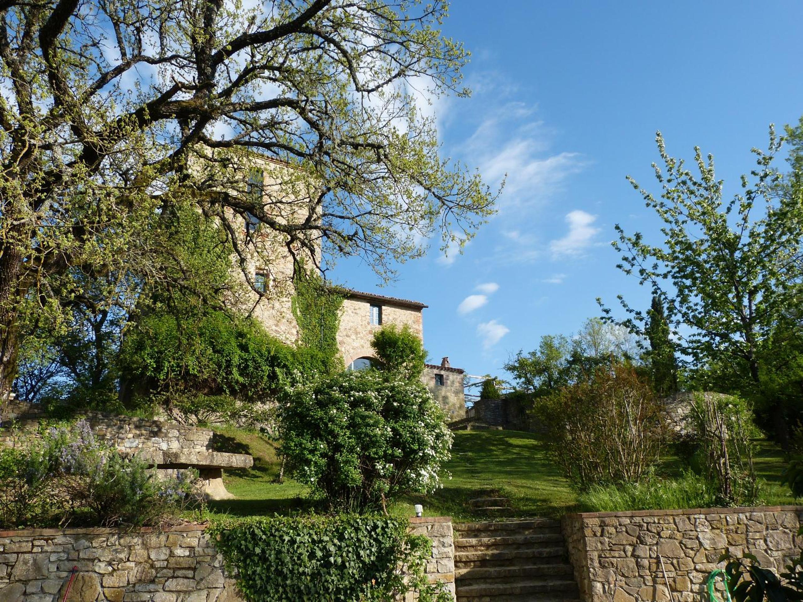 Photo 6